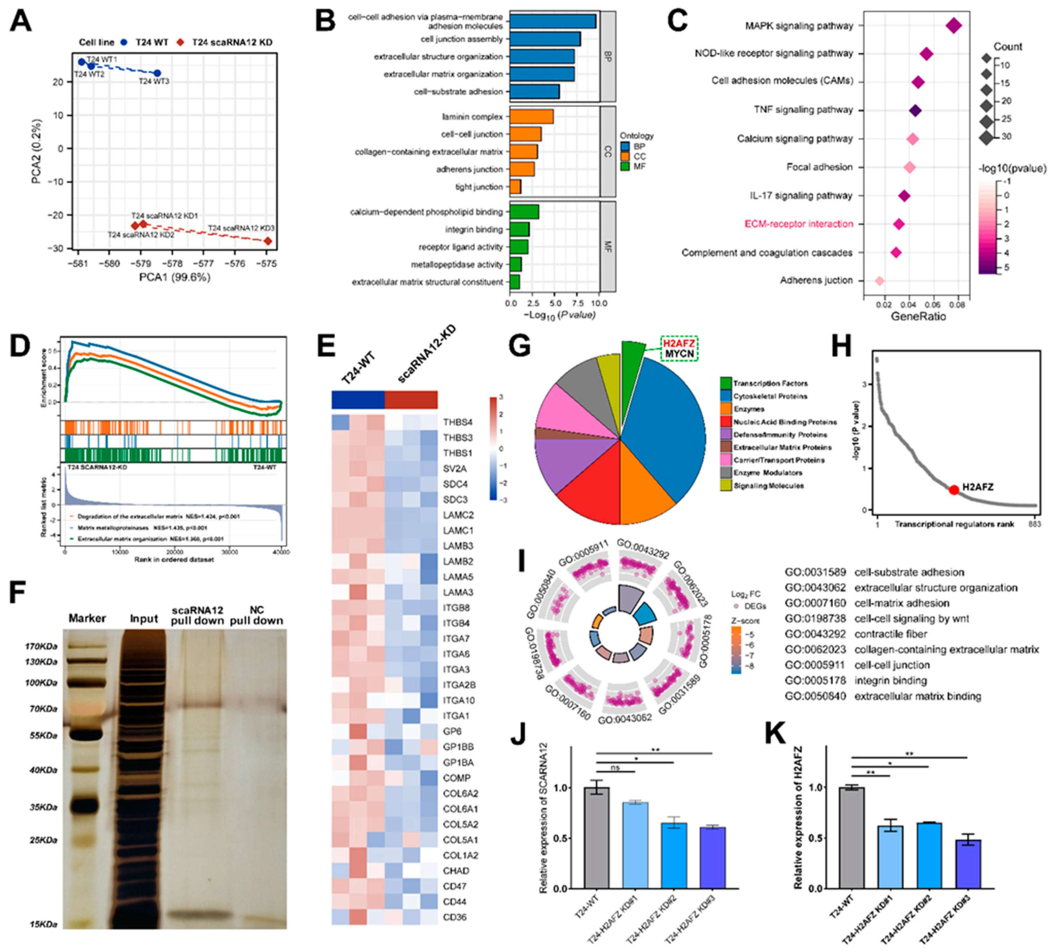 Preprints 92494 g006