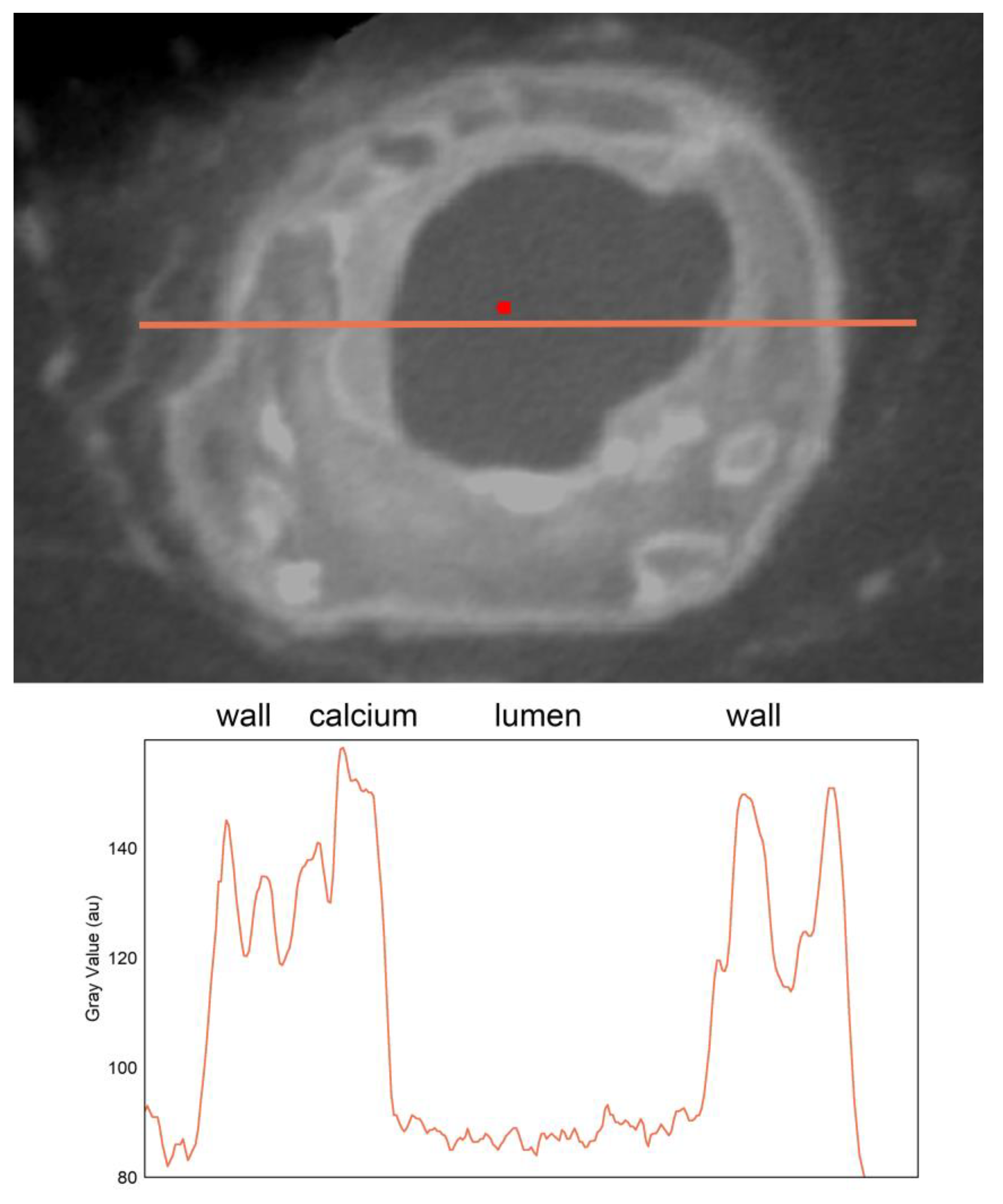 Preprints 108266 g002