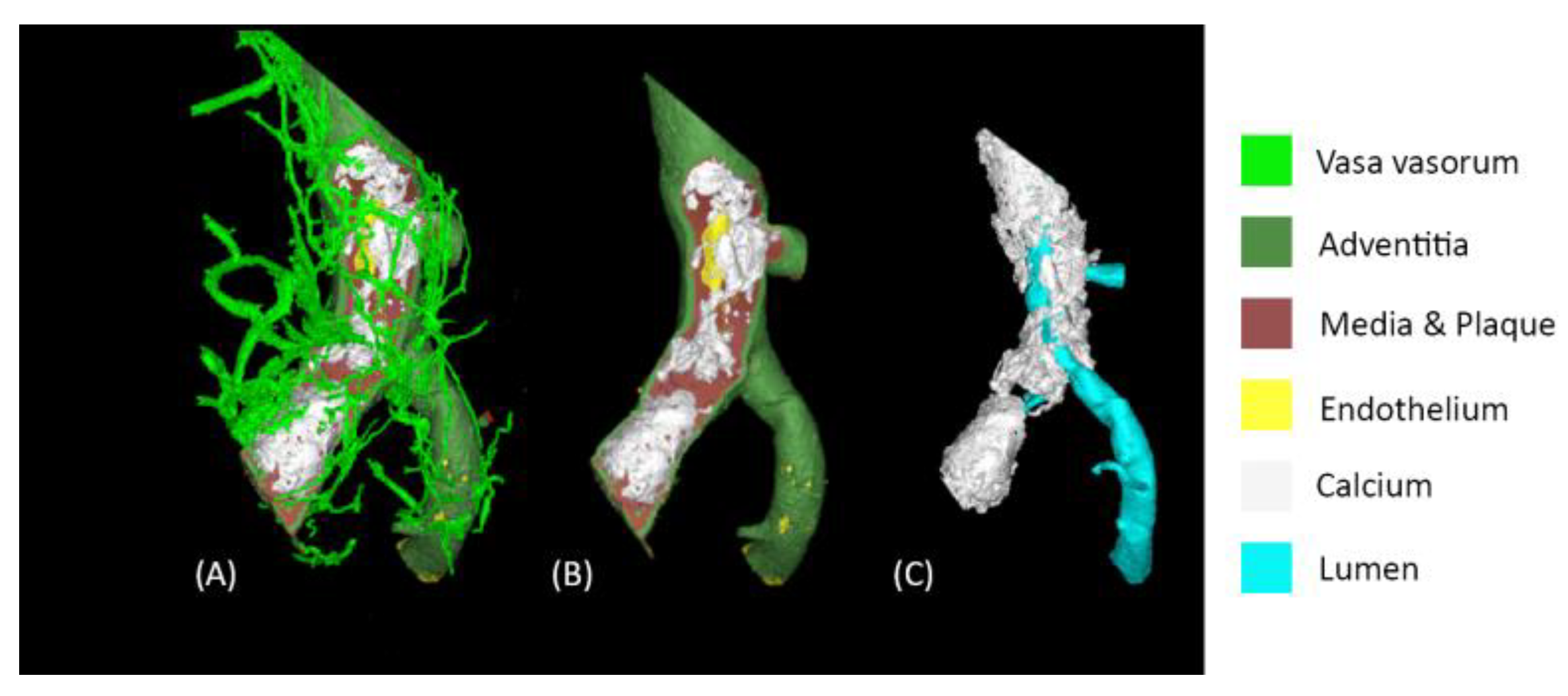 Preprints 108266 g004