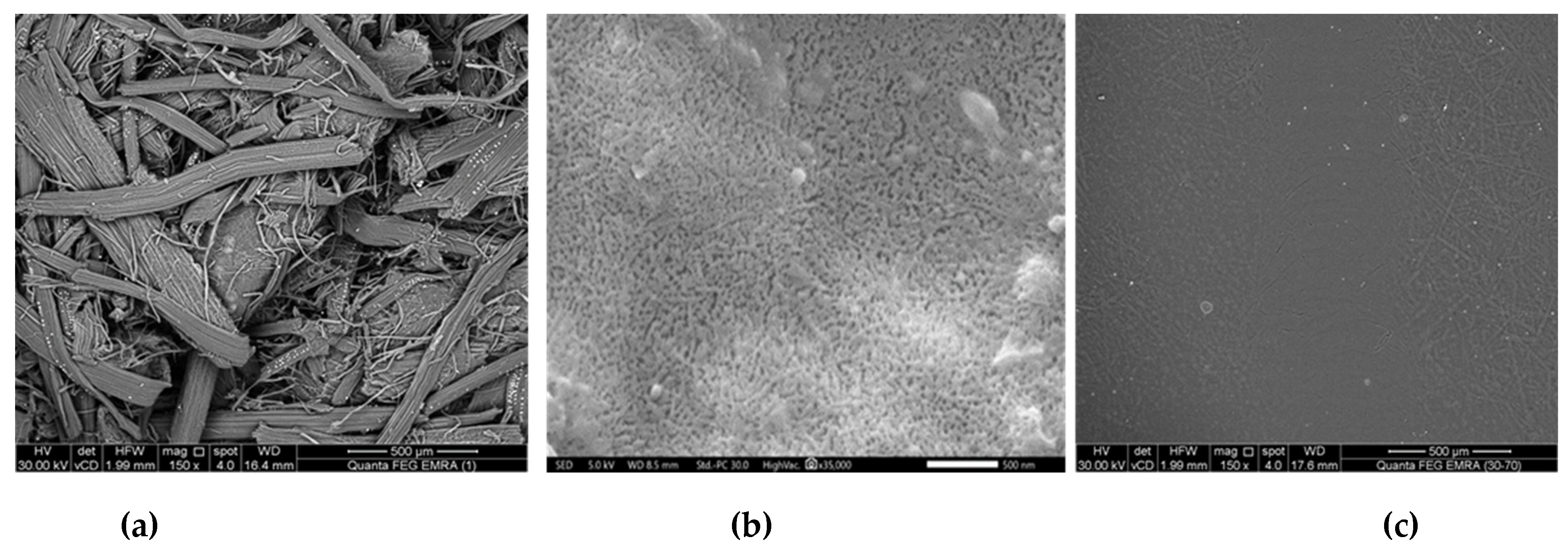 Preprints 107059 g005