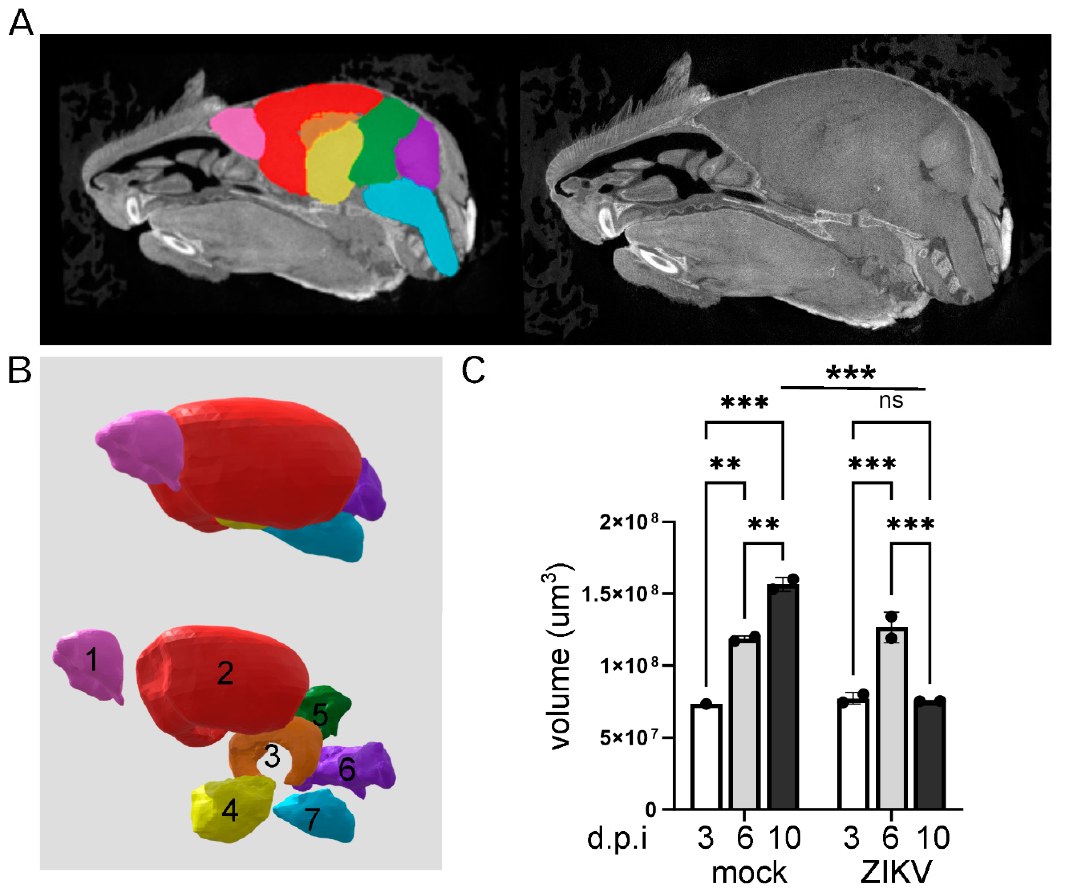 Preprints 111632 g002