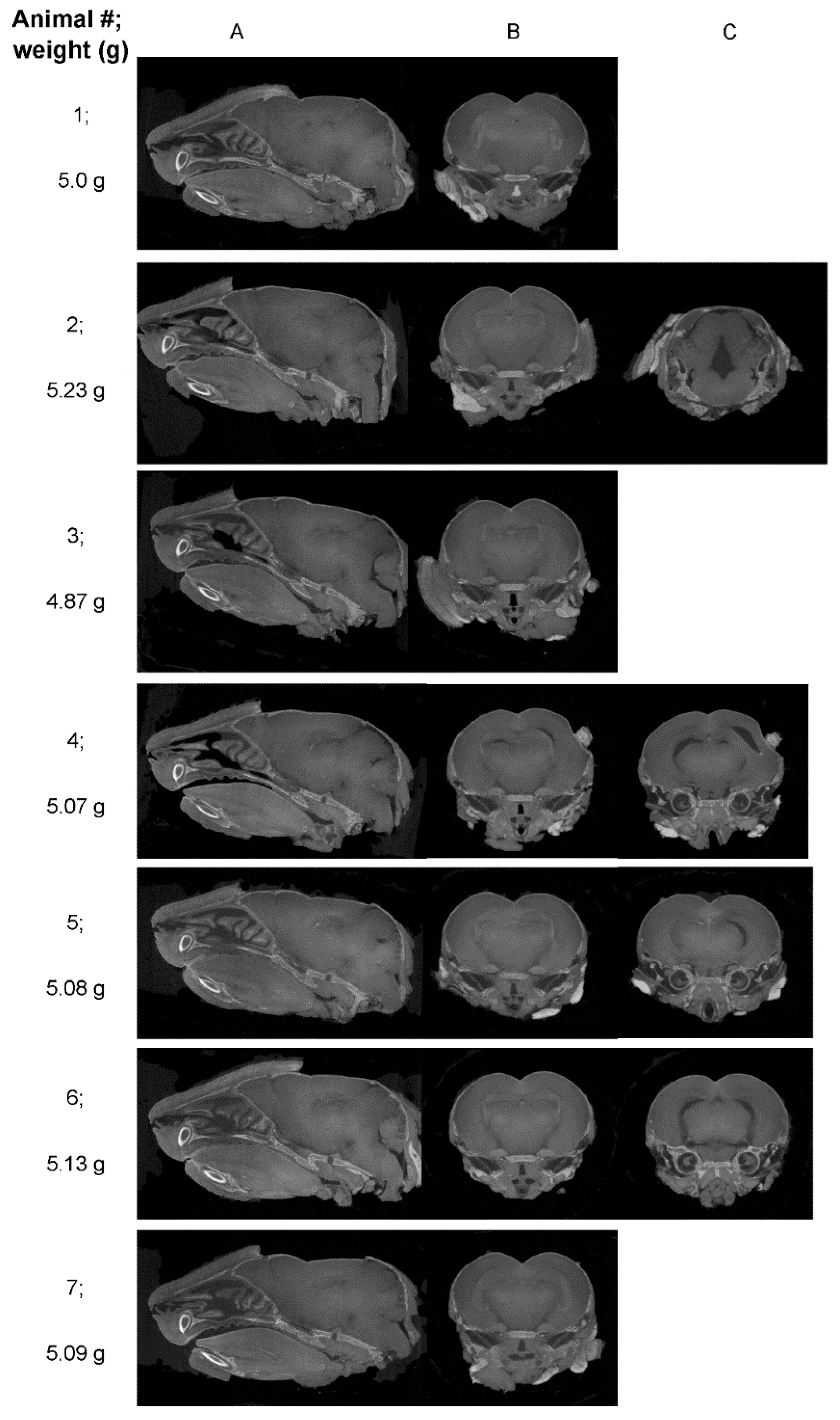 Preprints 111632 g004