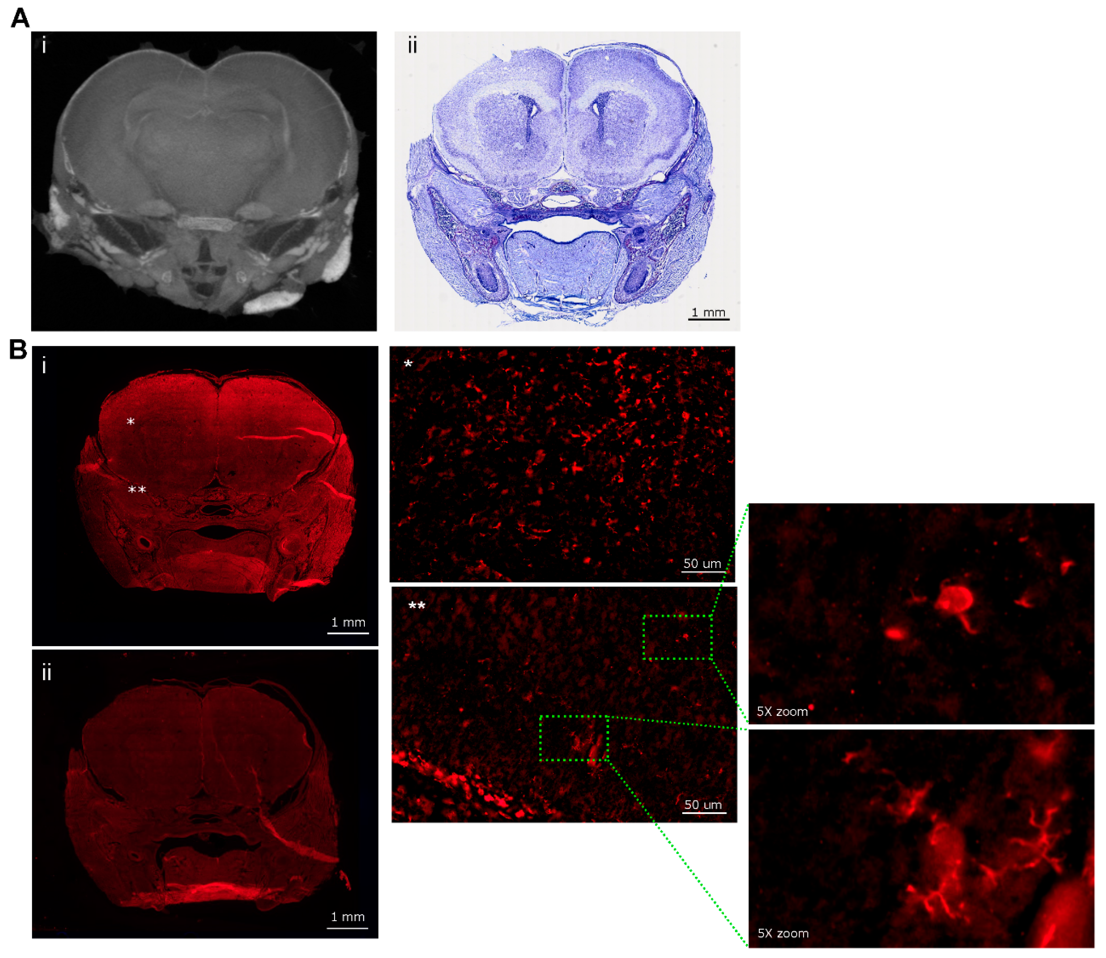 Preprints 111632 g006