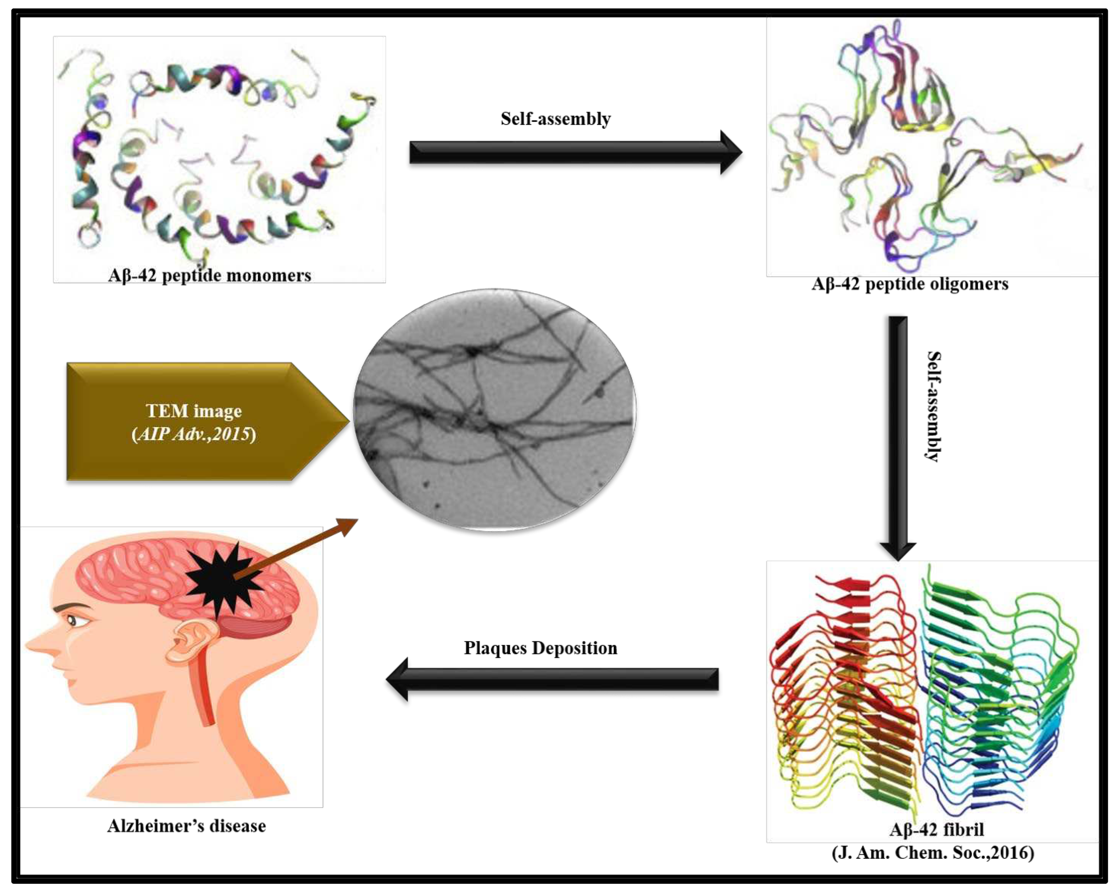 Preprints 74271 g001