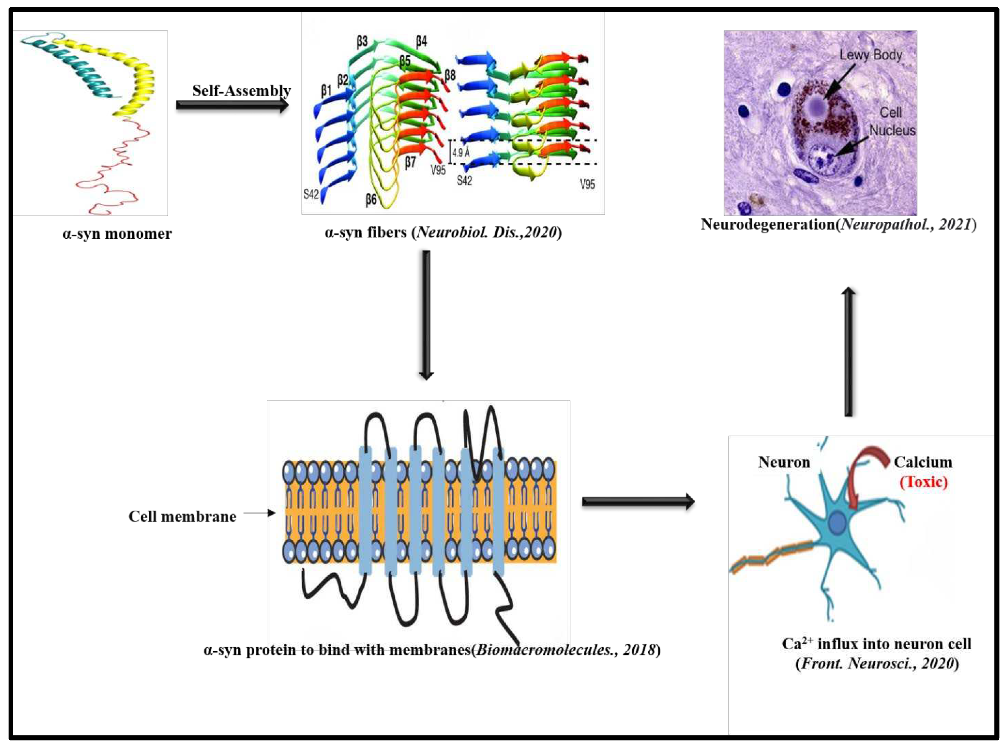 Preprints 74271 g002