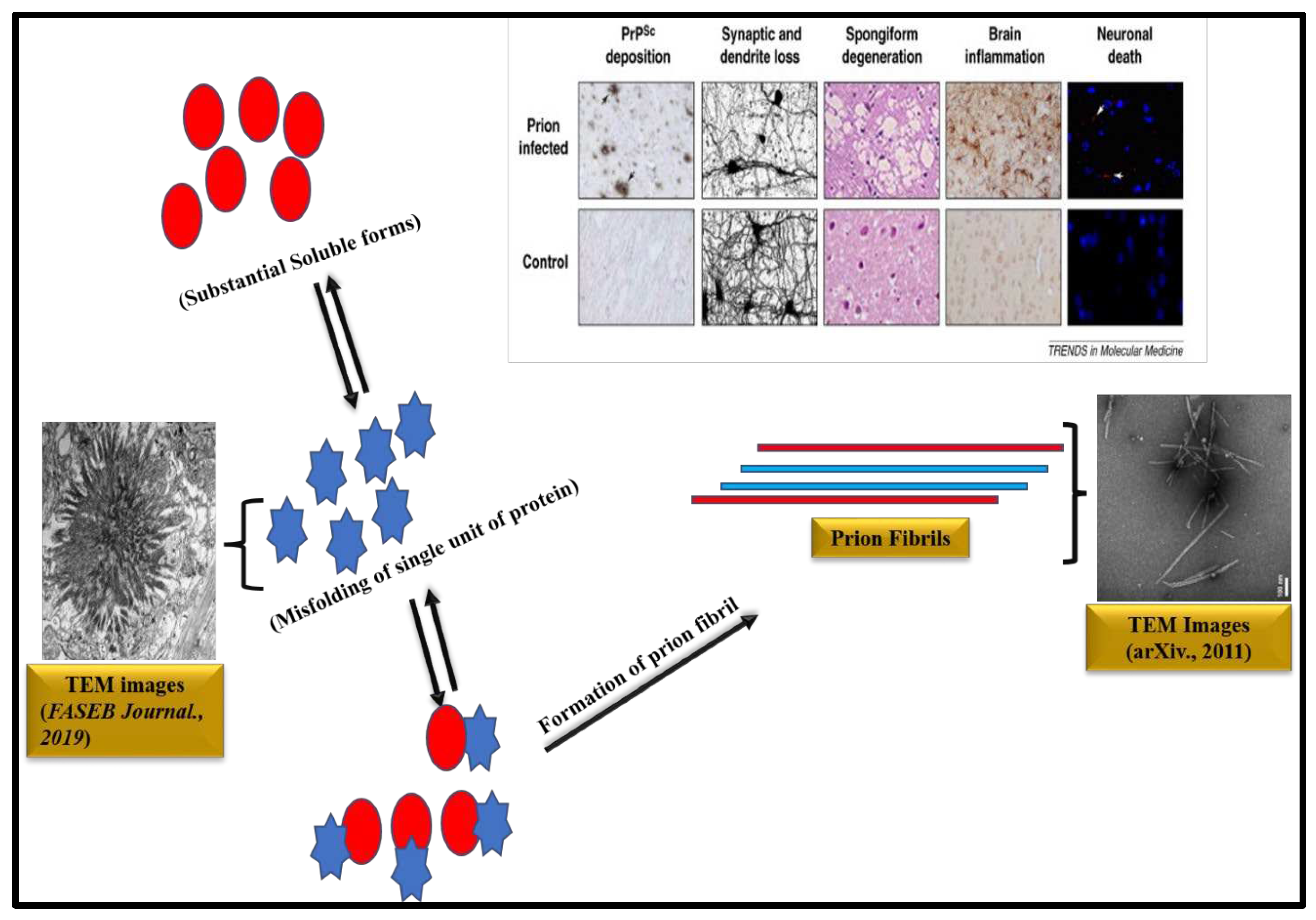 Preprints 74271 g003