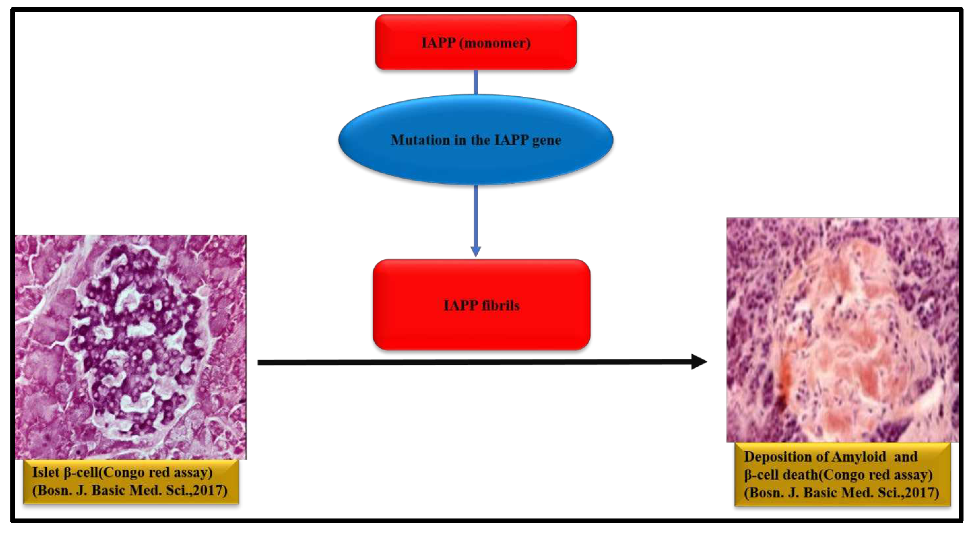 Preprints 74271 g004