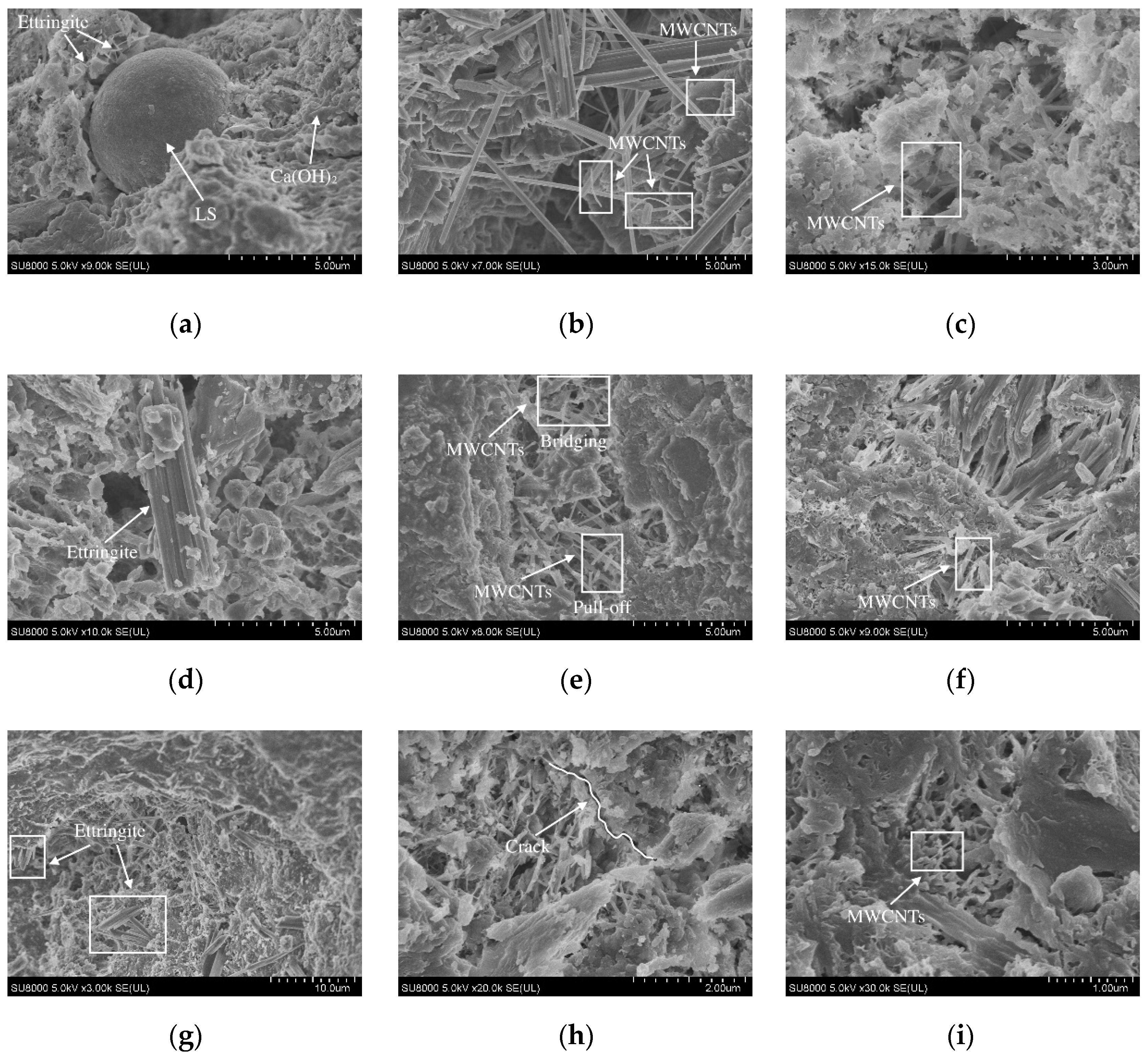 Preprints 72009 g006