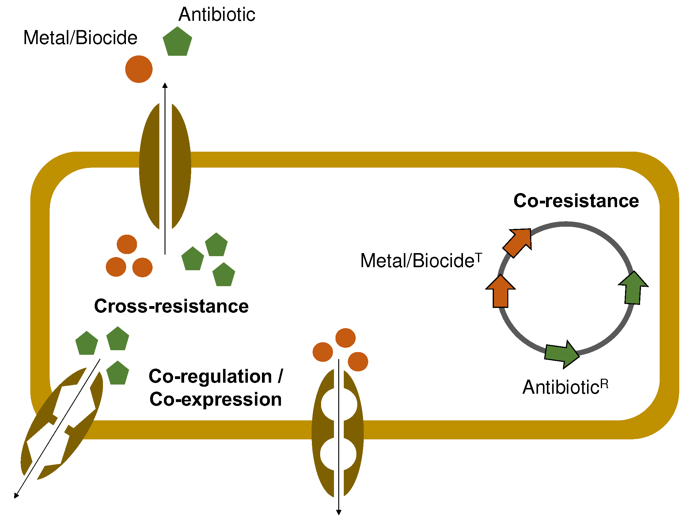 Preprints 79823 g002