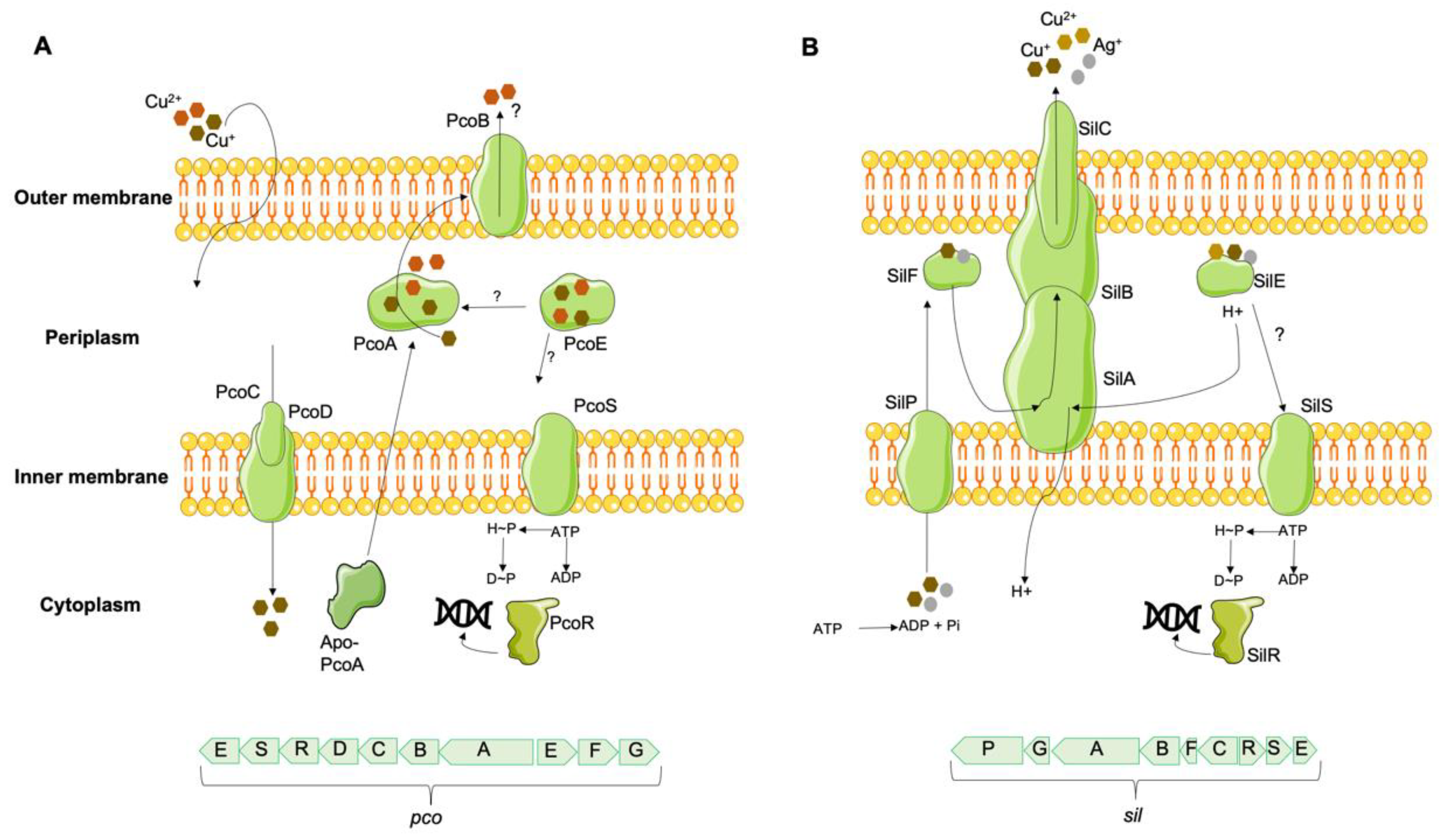 Preprints 79823 g003