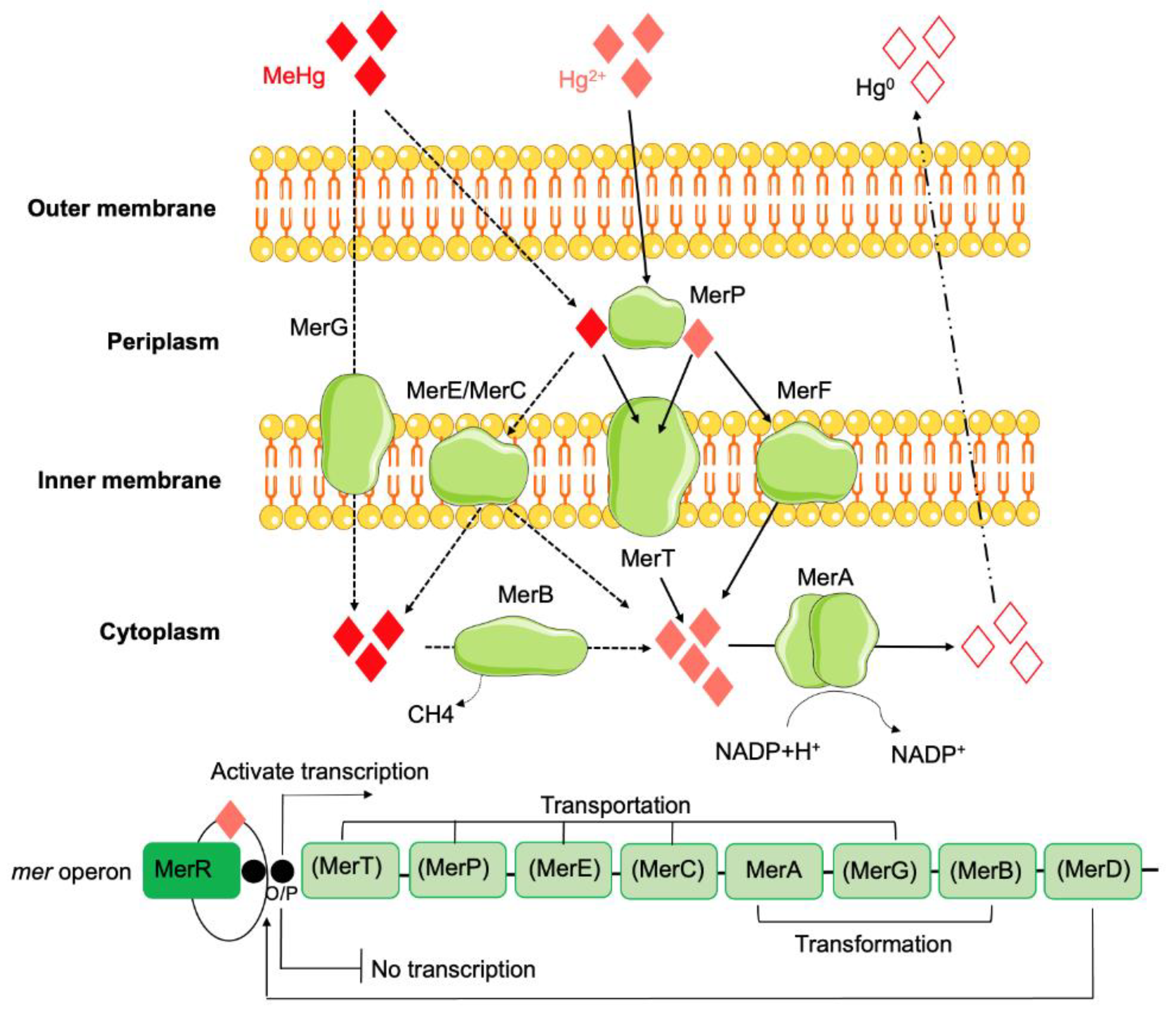 Preprints 79823 g006