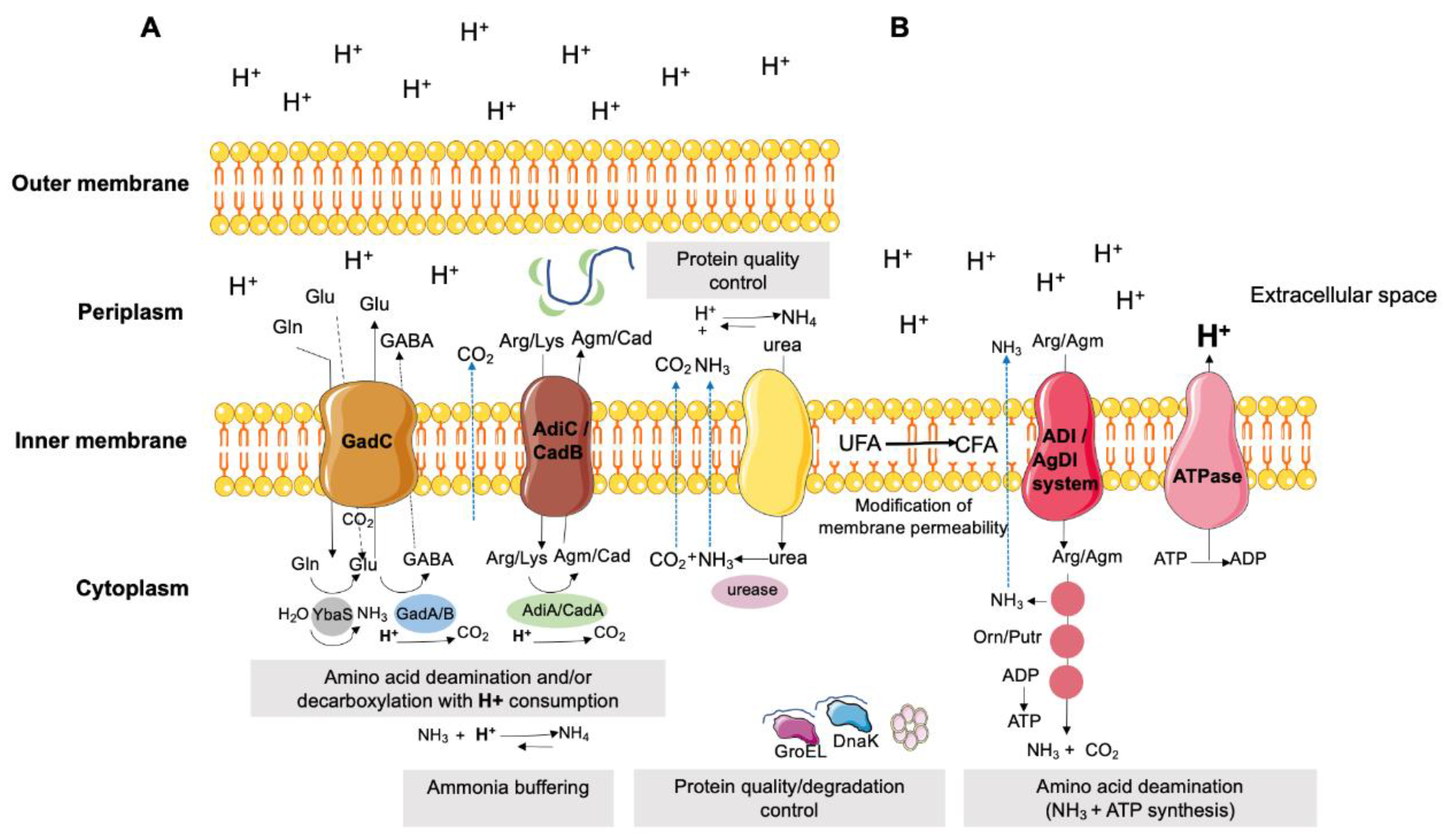 Preprints 79823 g007