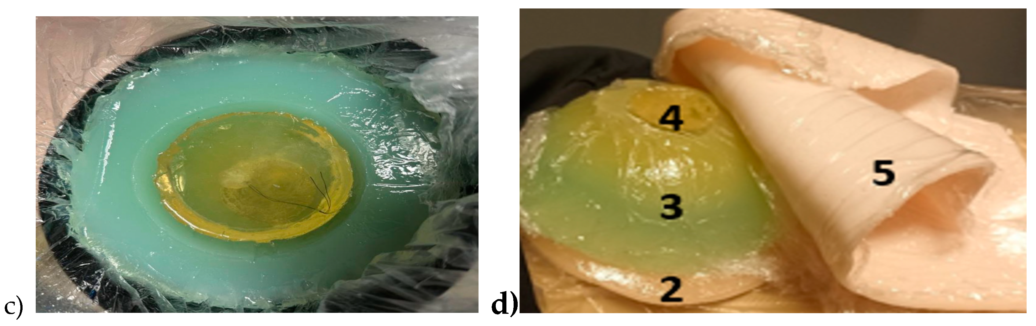 Preprints 96269 g005b