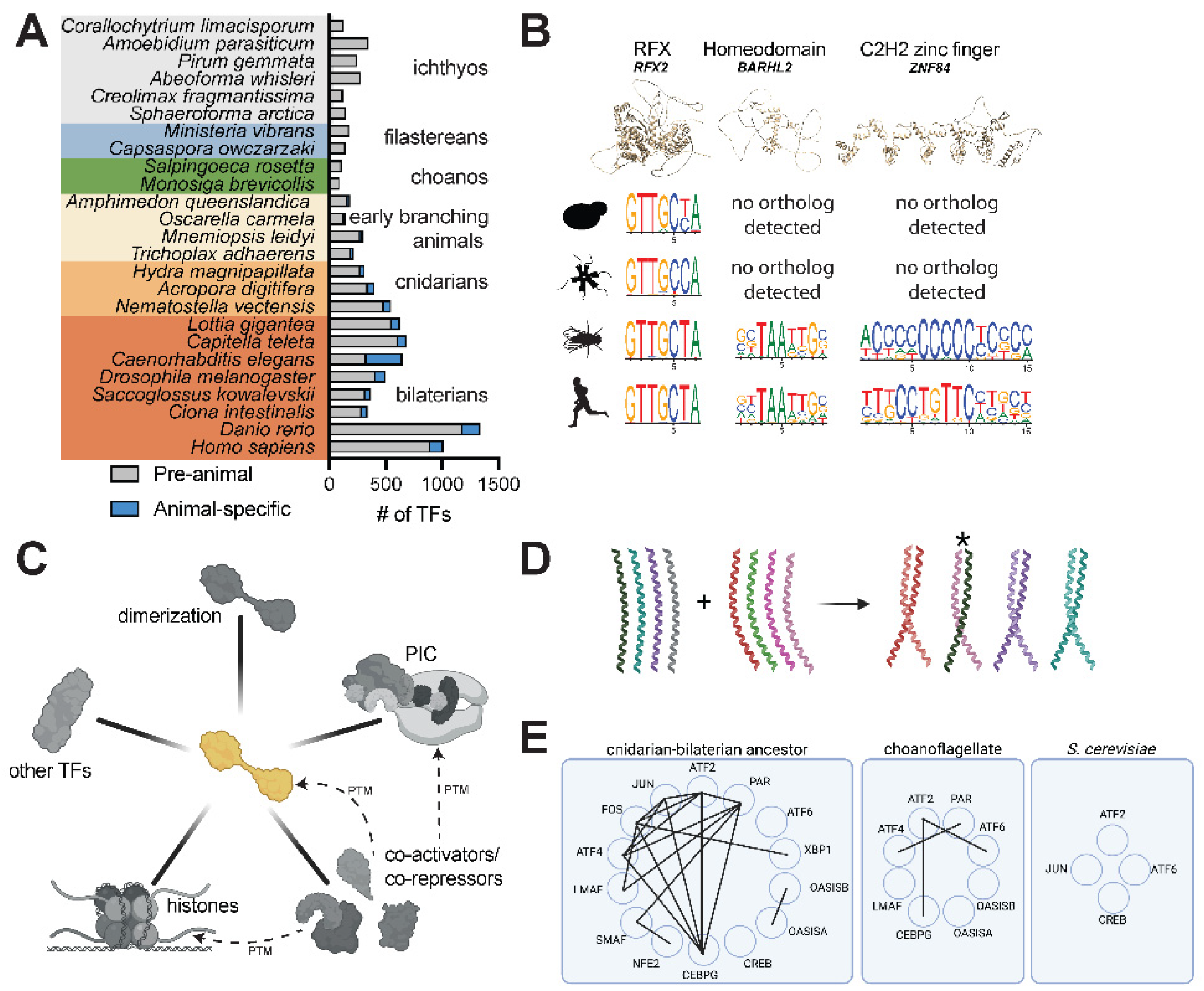 Preprints 100047 g002