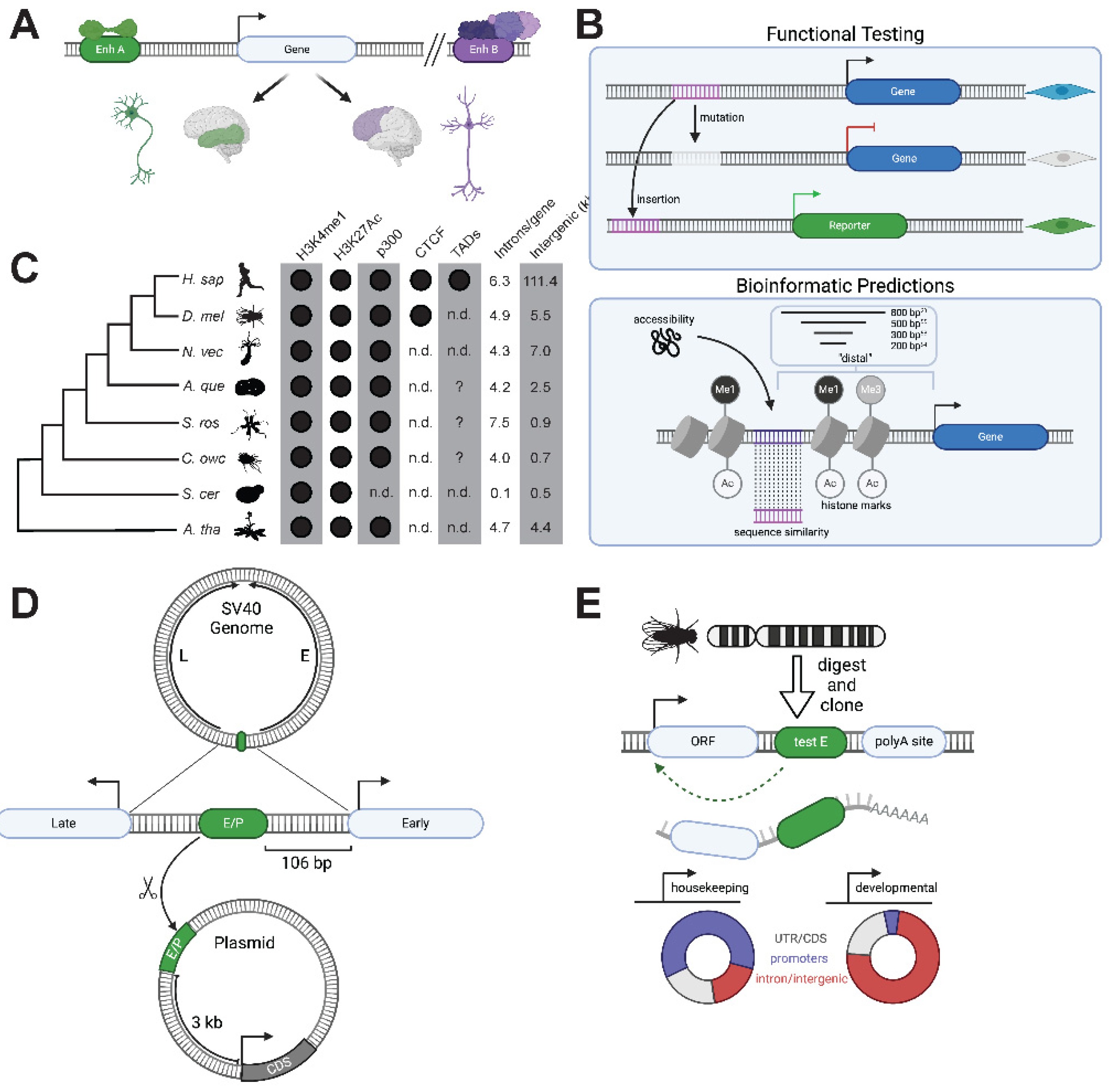 Preprints 100047 g003