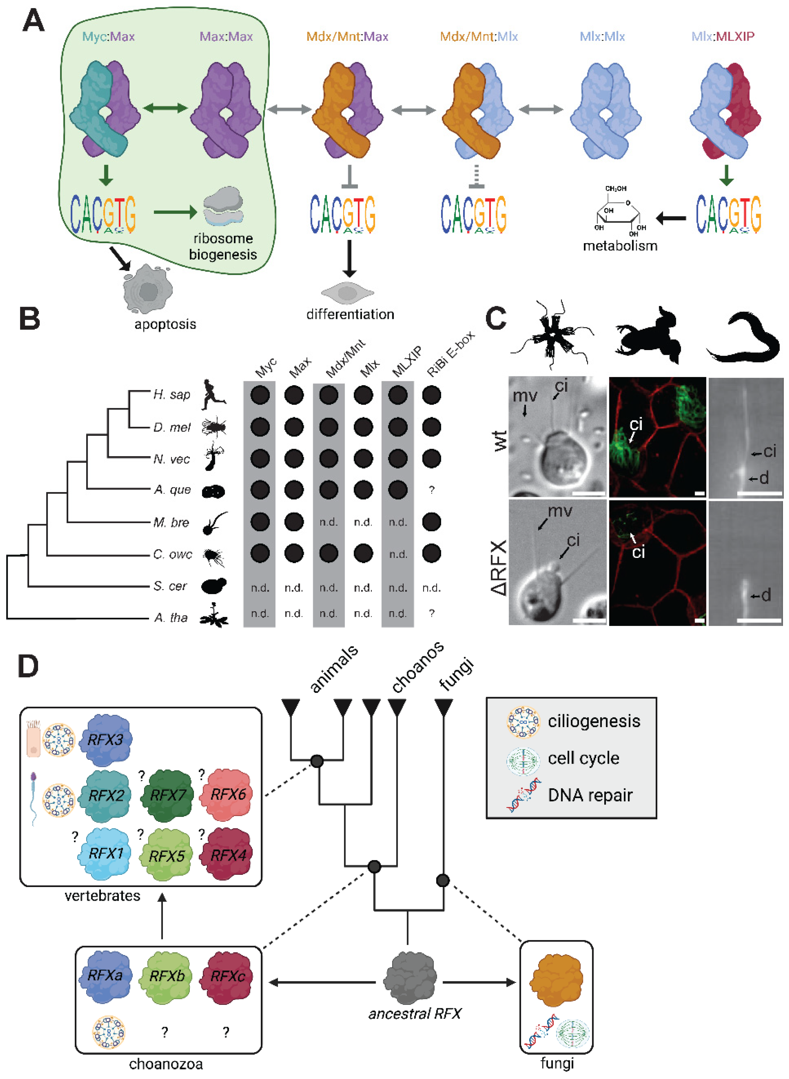 Preprints 100047 g004