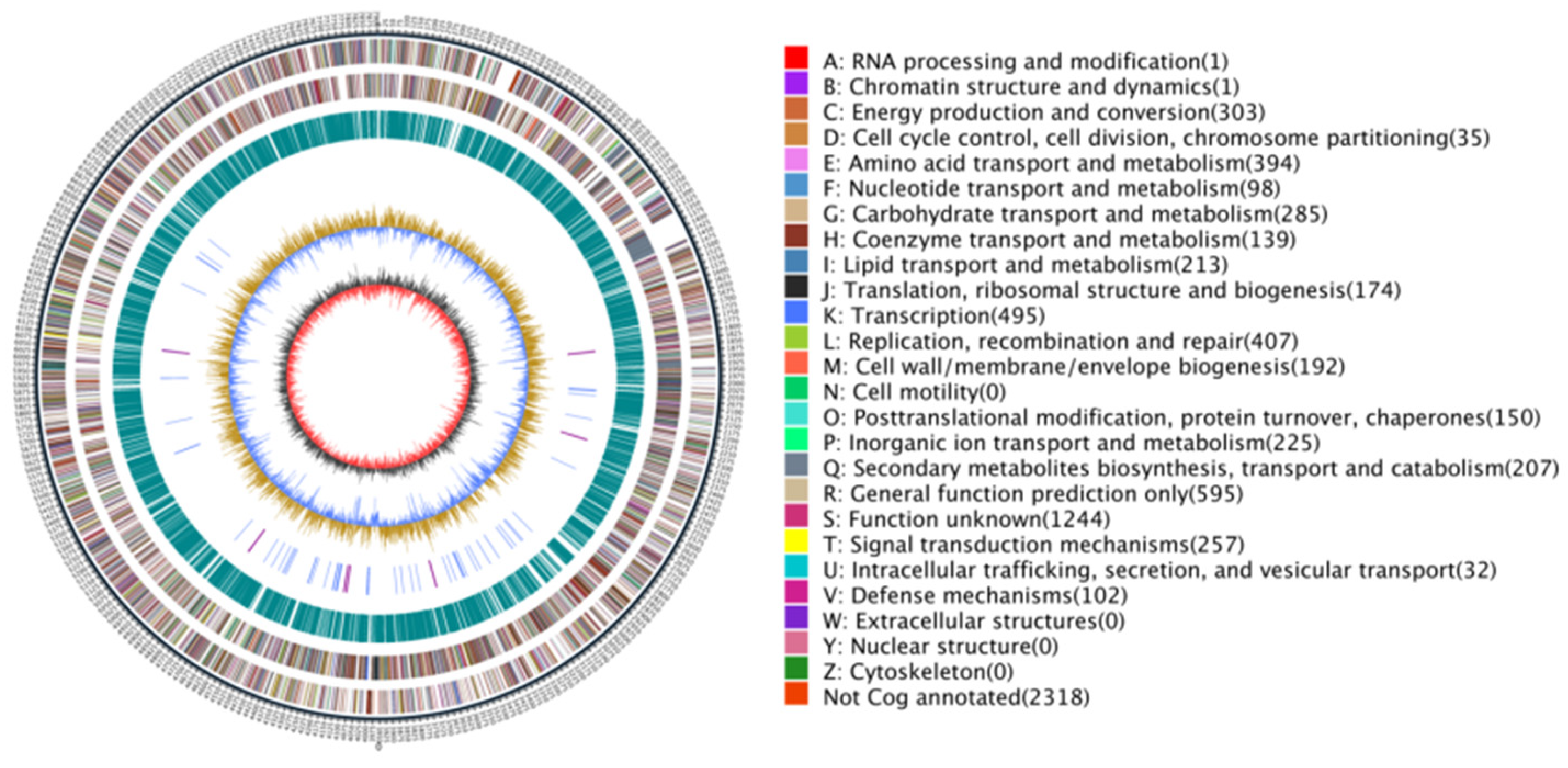 Preprints 137607 g002