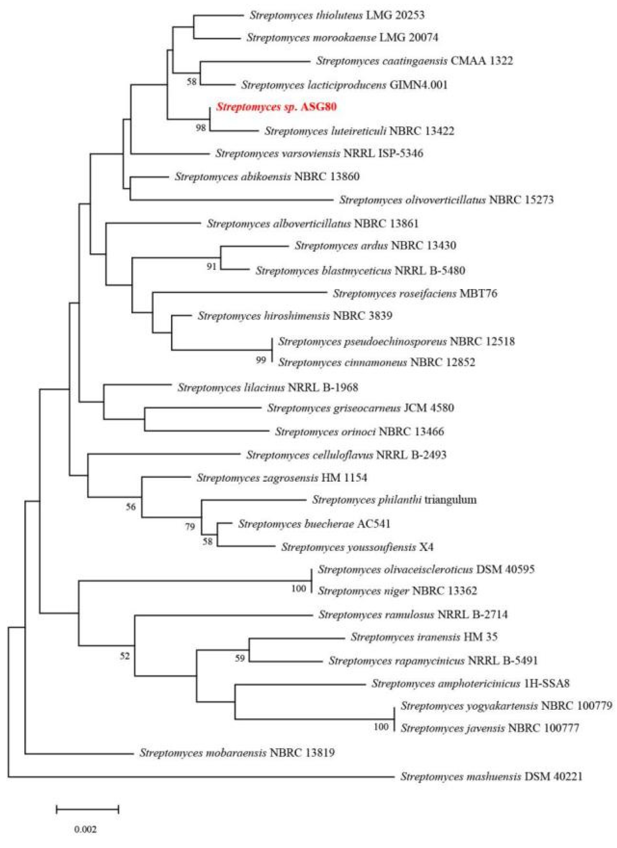 Preprints 137607 g003