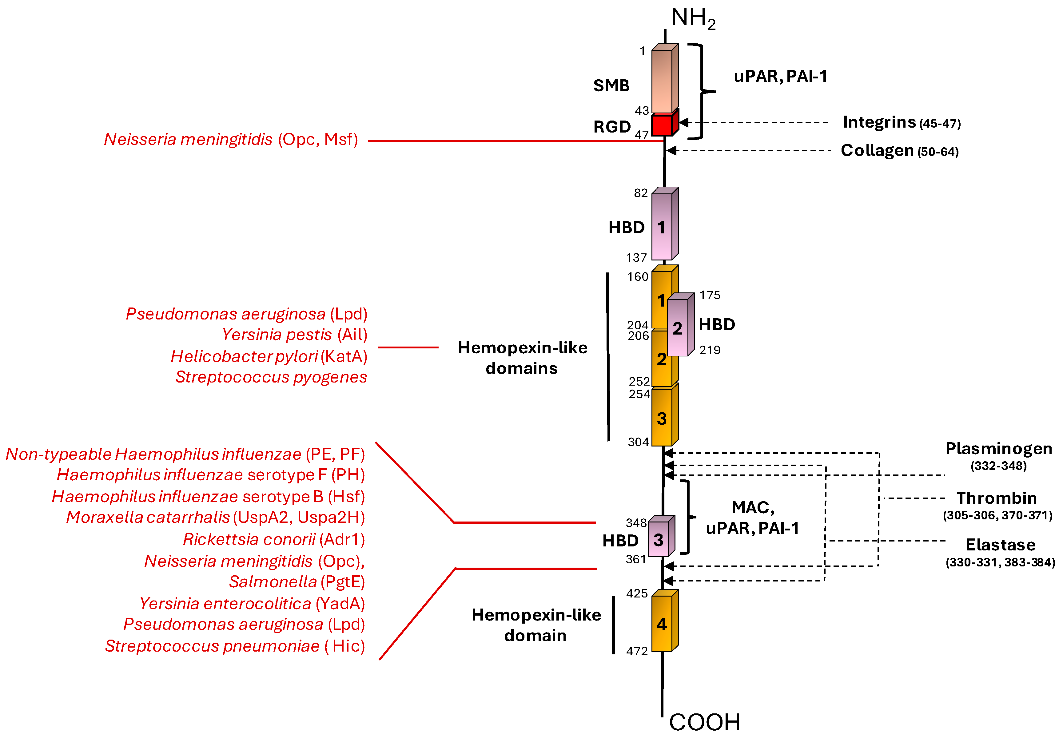 Preprints 109543 g001