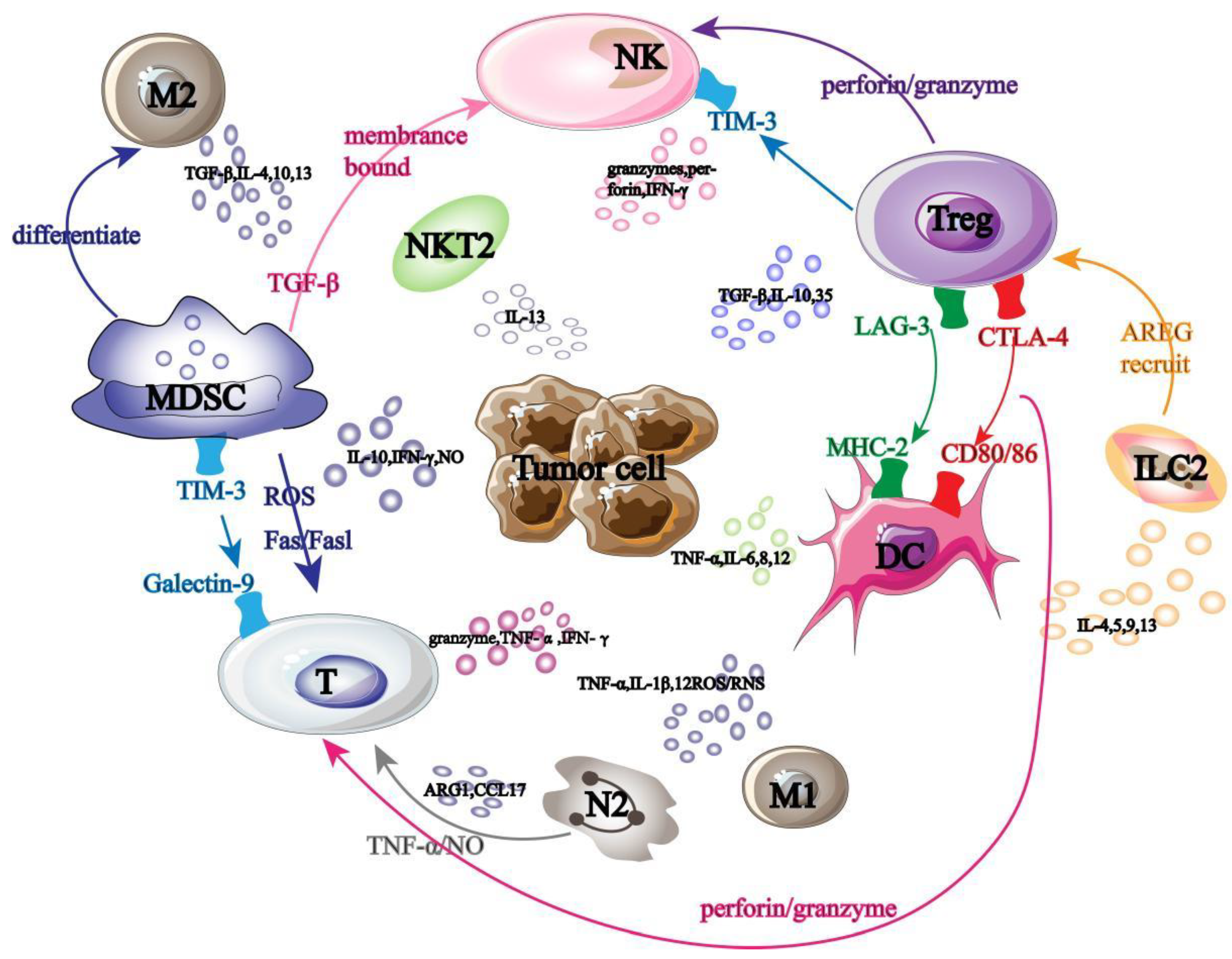 Preprints 98003 g001