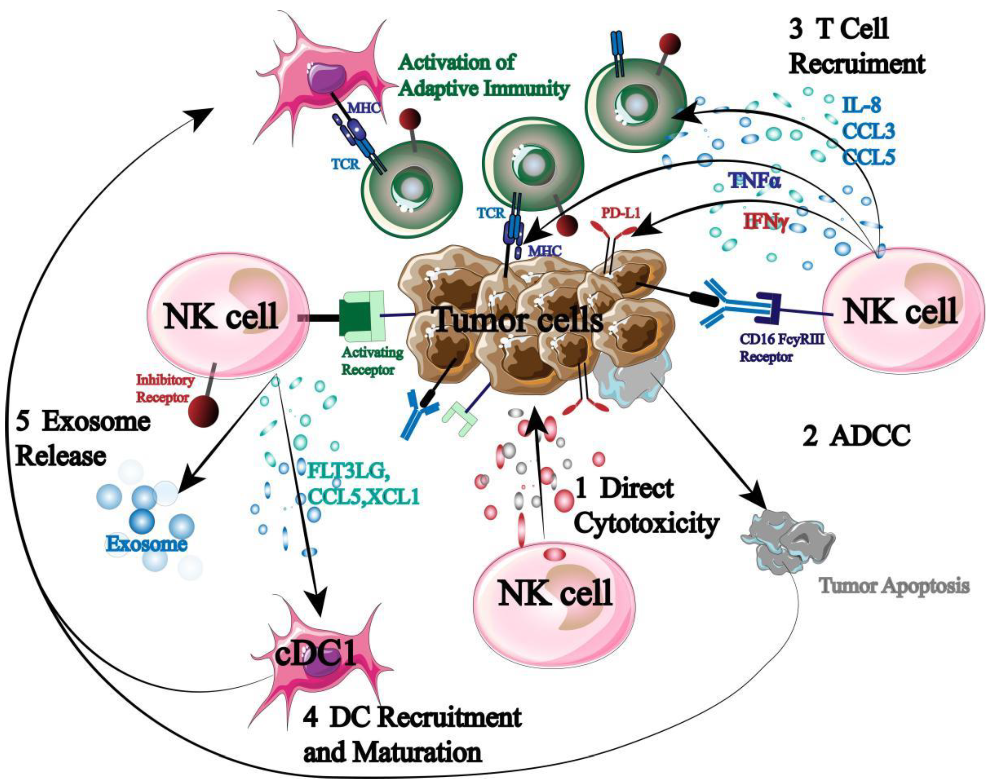 Preprints 98003 g004