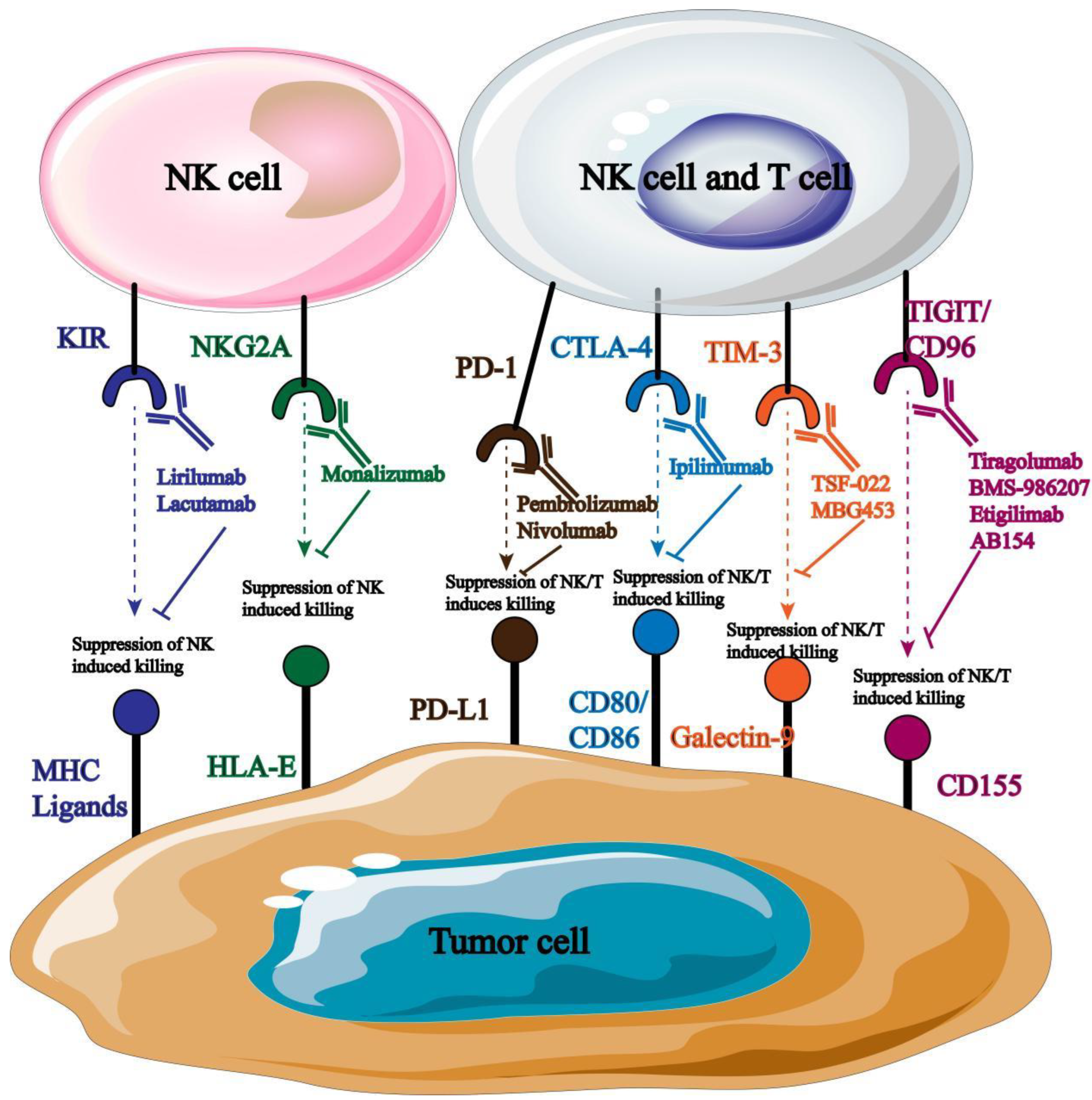 Preprints 98003 g006