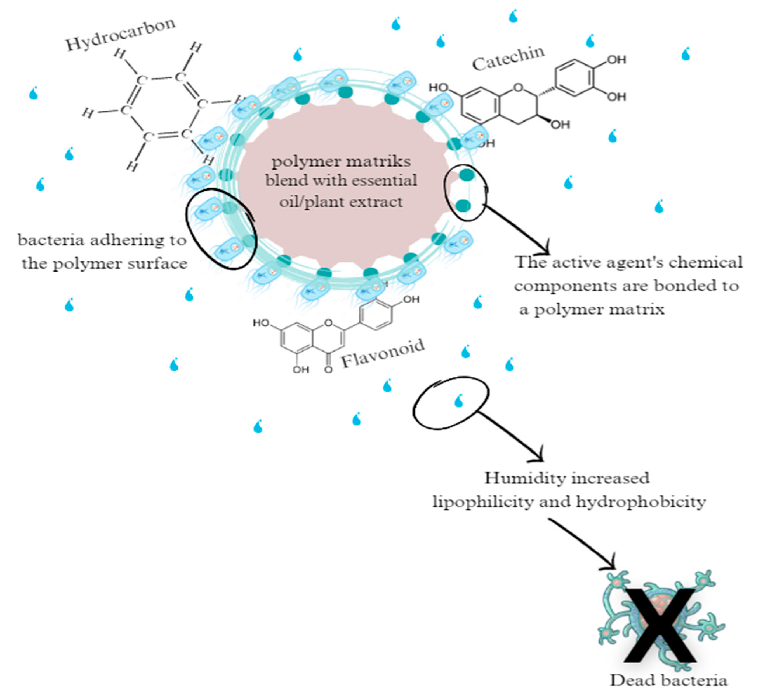 Preprints 86051 g006