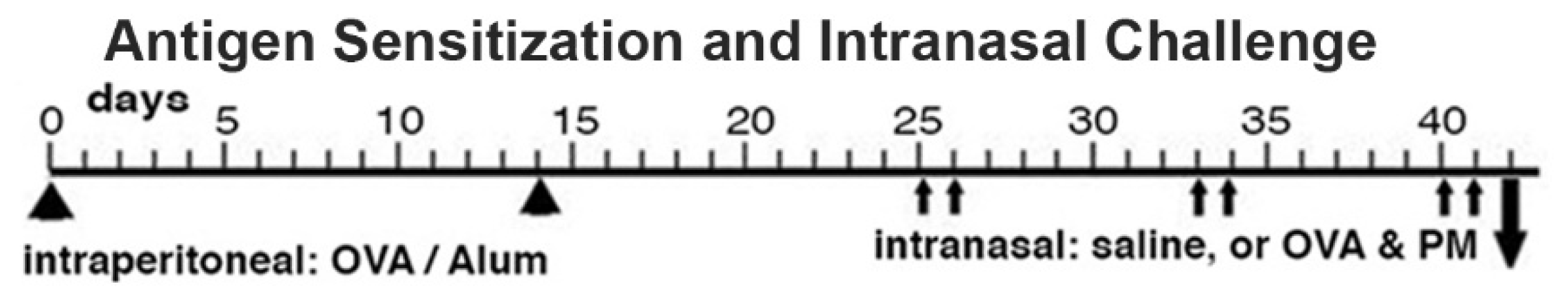 Preprints 75805 g001