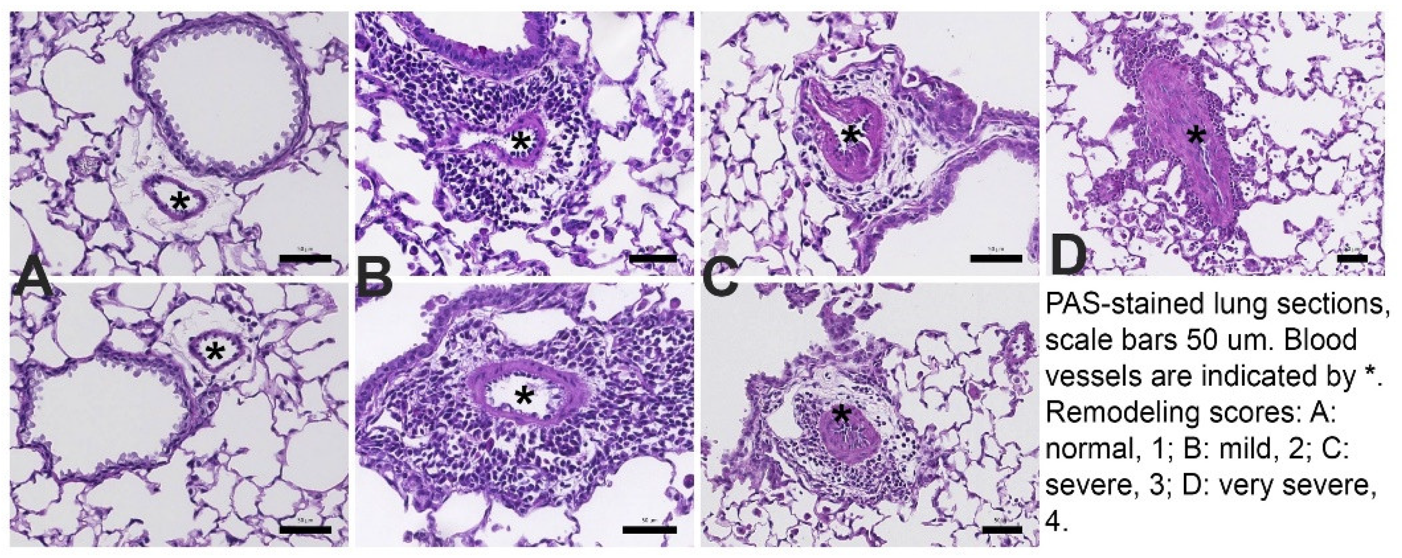 Preprints 75805 g002