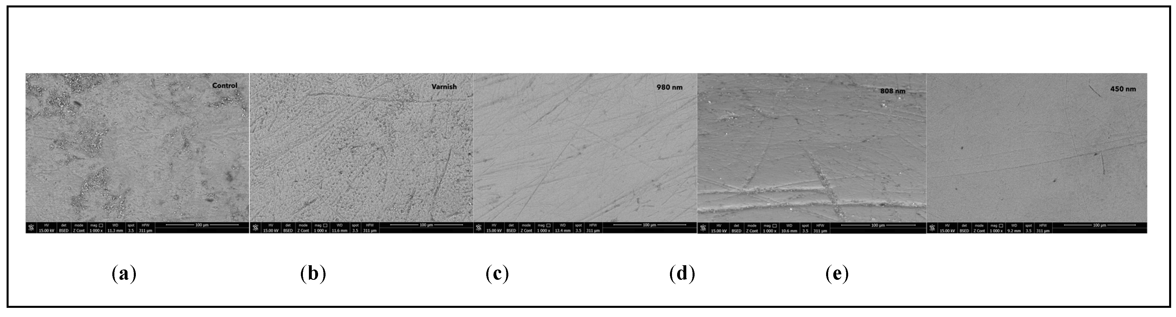 Preprints 115753 g004