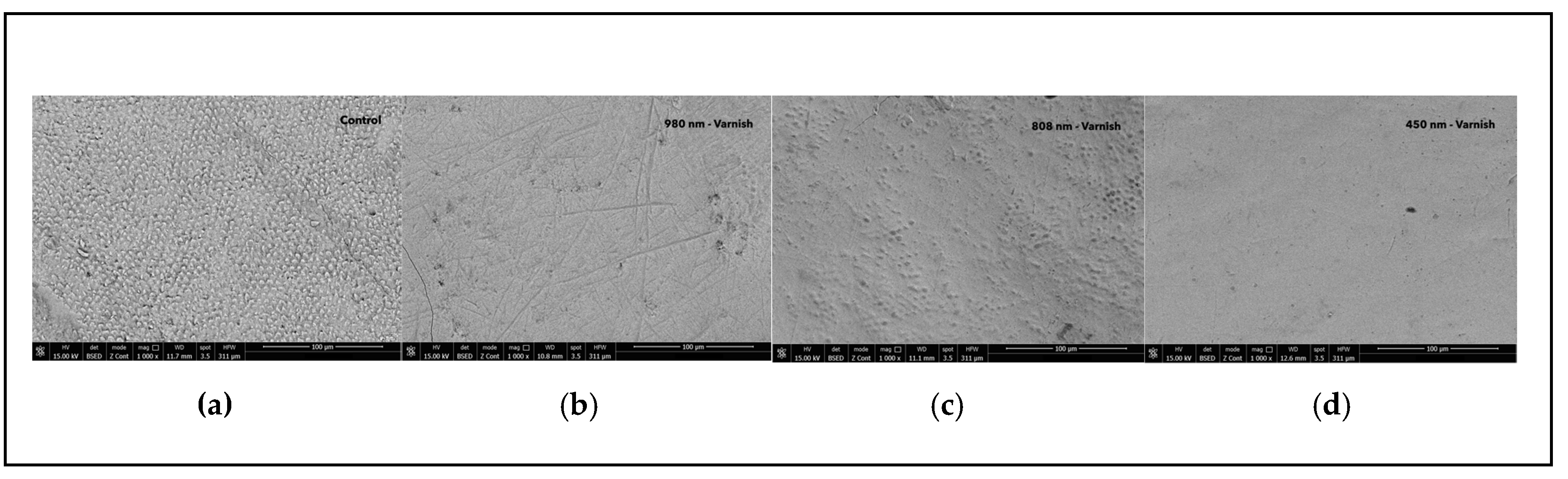 Preprints 115753 g005