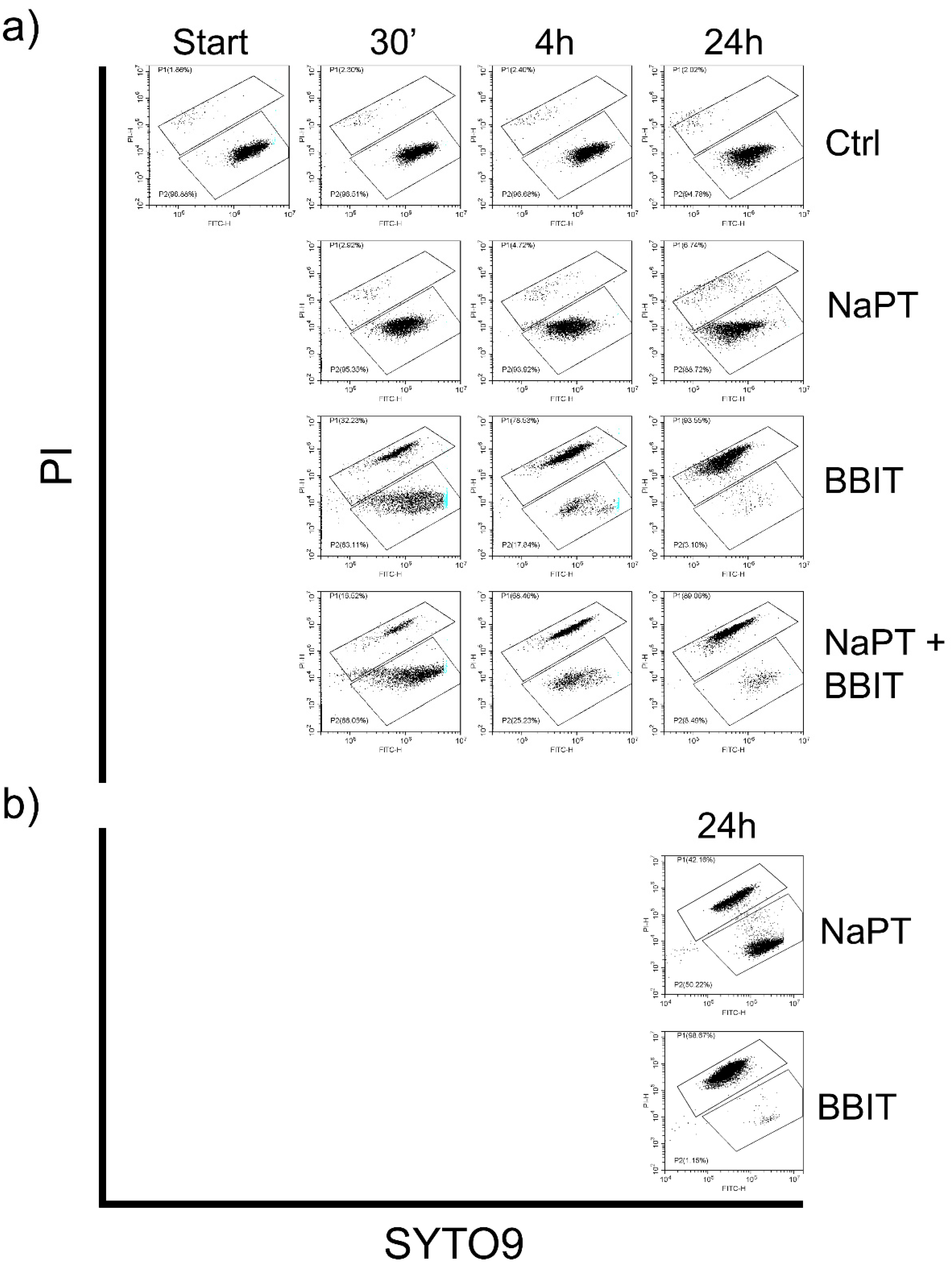 Preprints 138023 g002