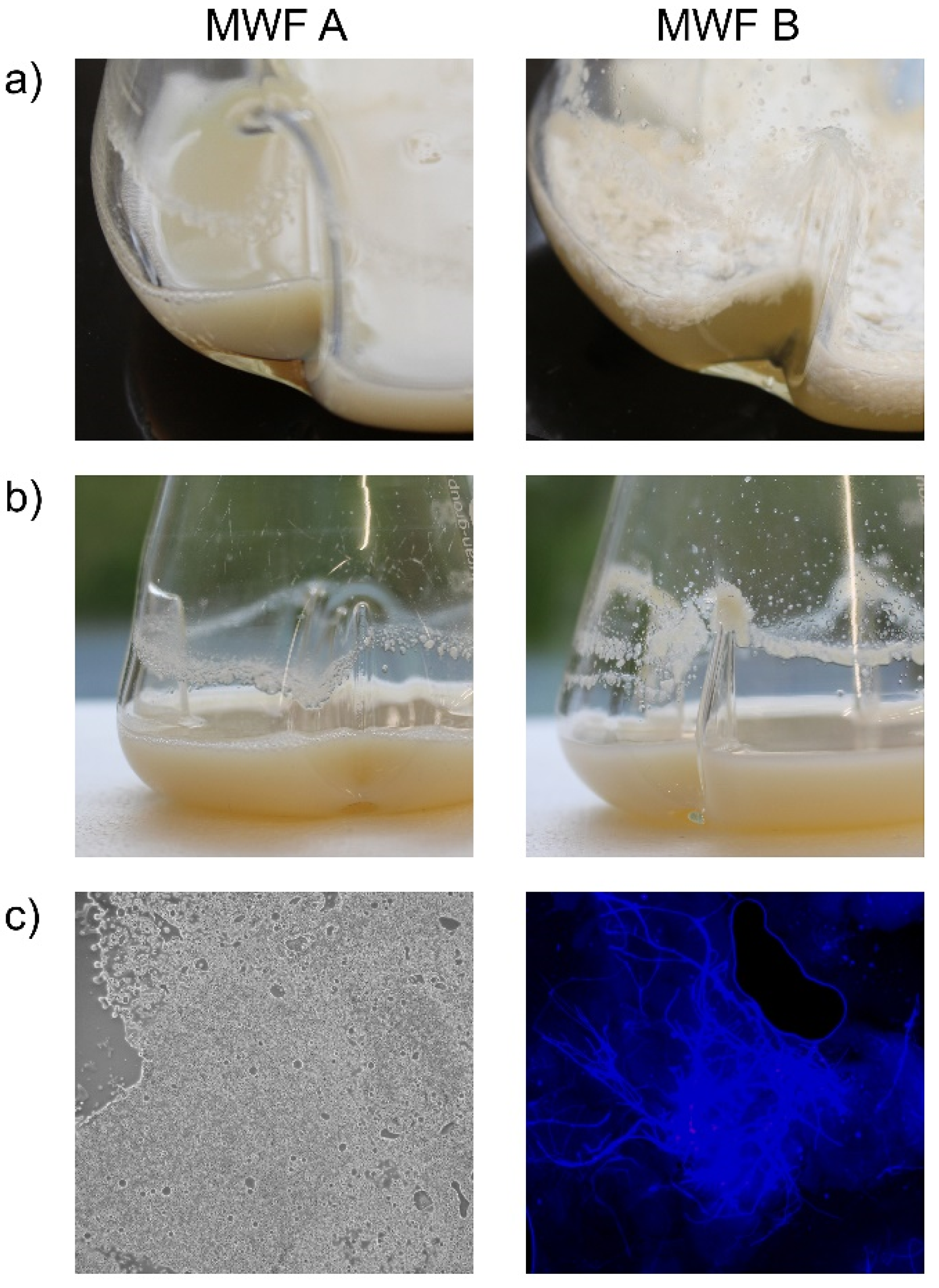 Preprints 138023 g004