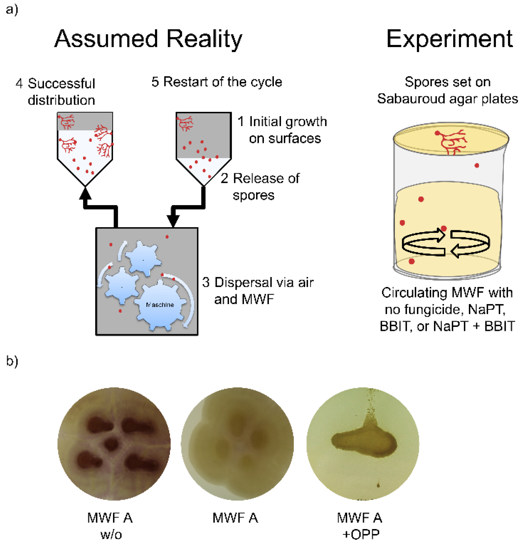 Preprints 138023 g005