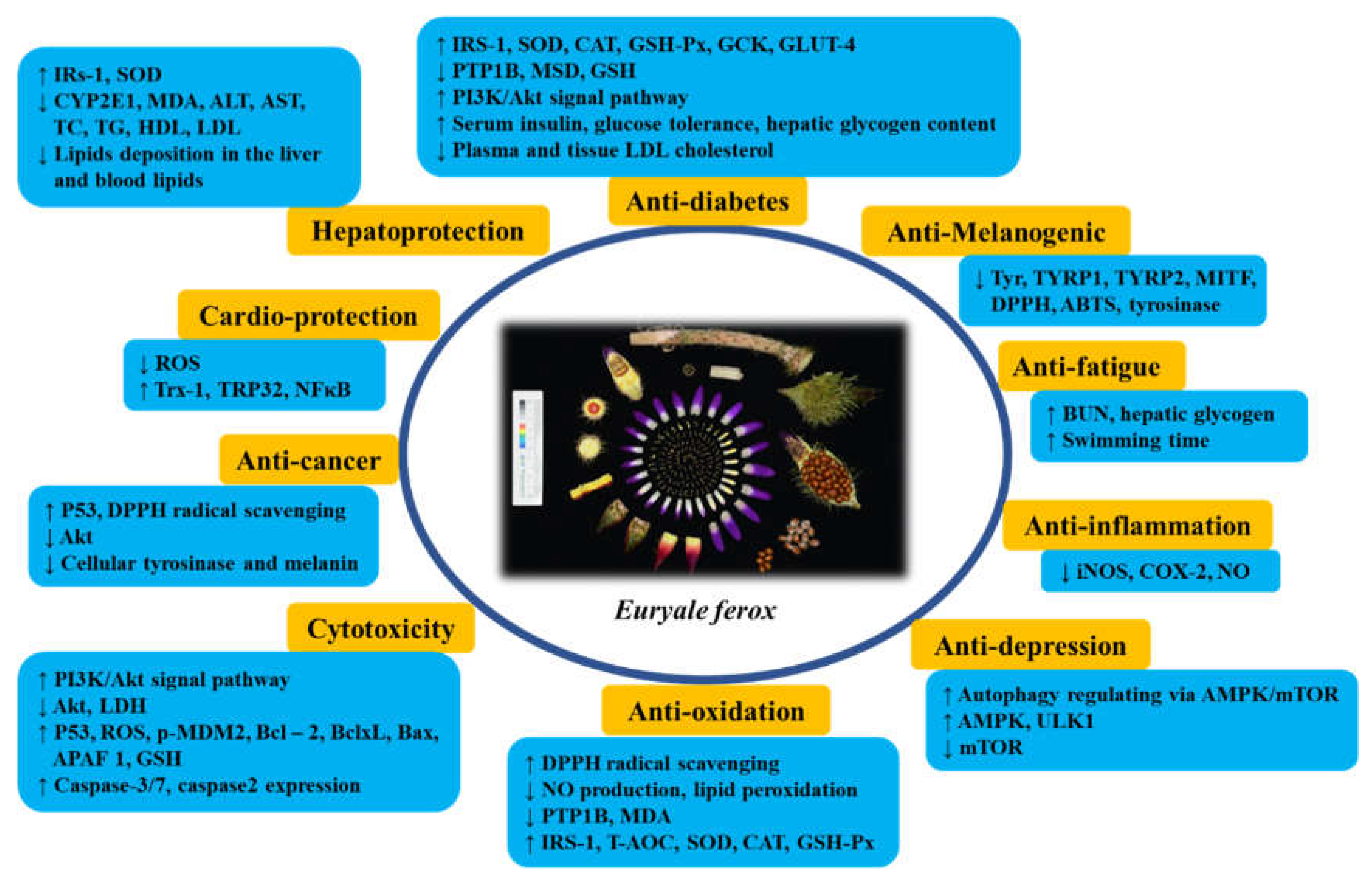 Preprints 72703 g010