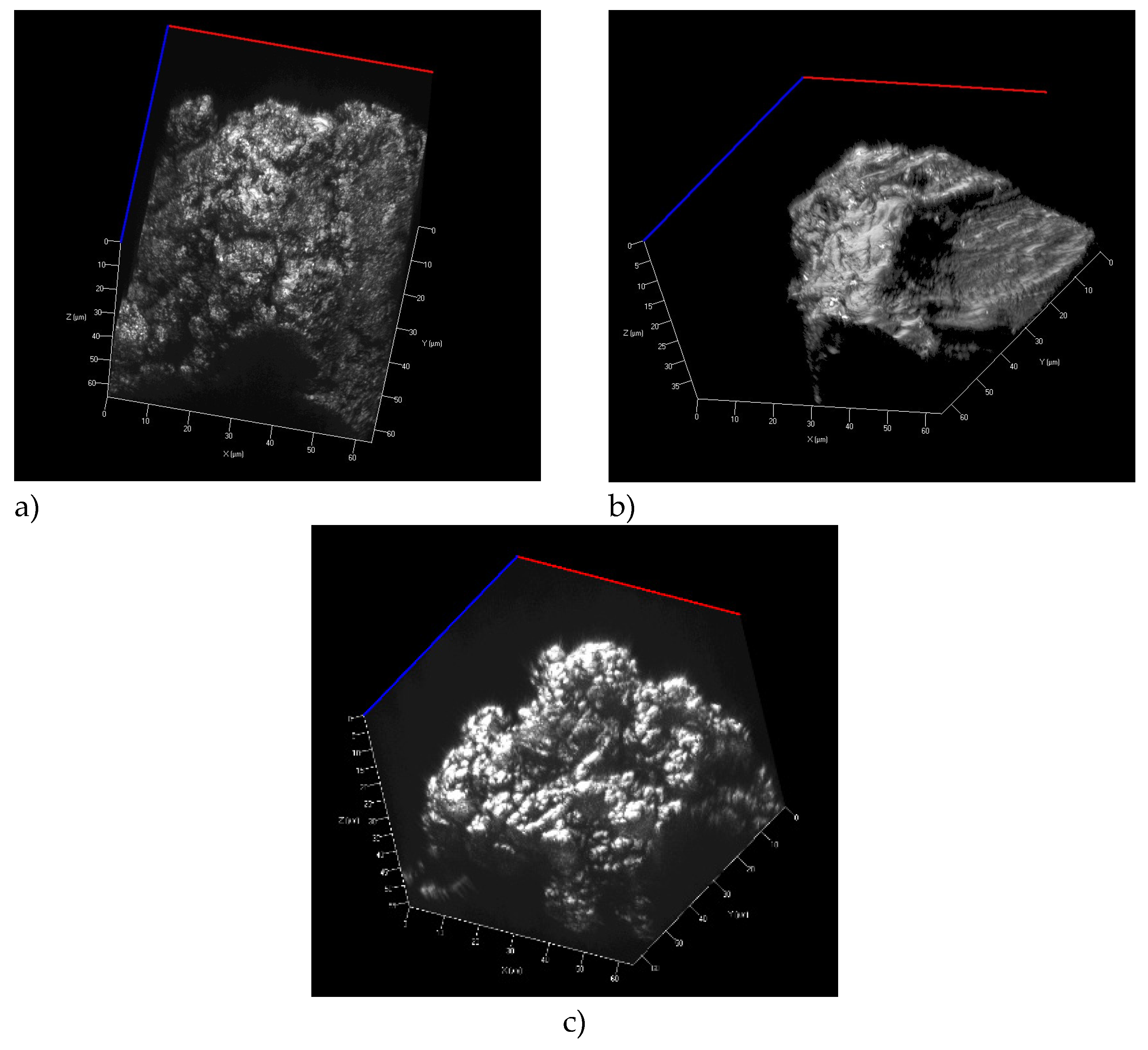 Preprints 86338 g001