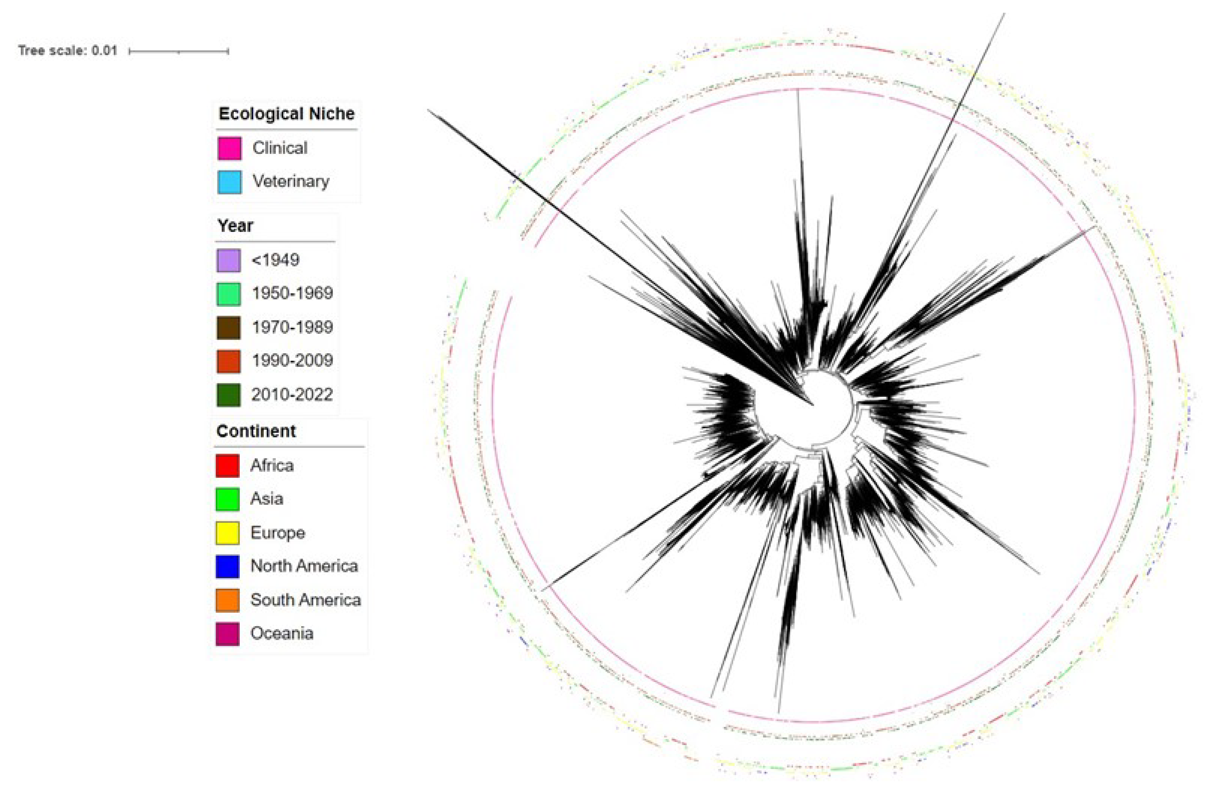 Preprints 72328 g001