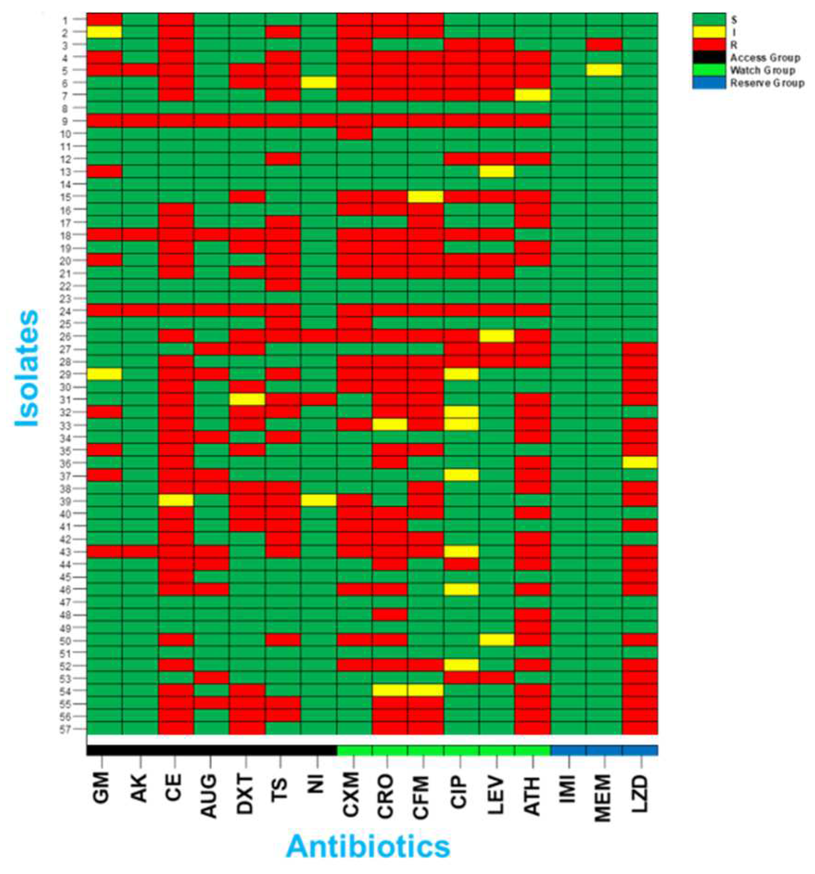 Preprints 89379 g001