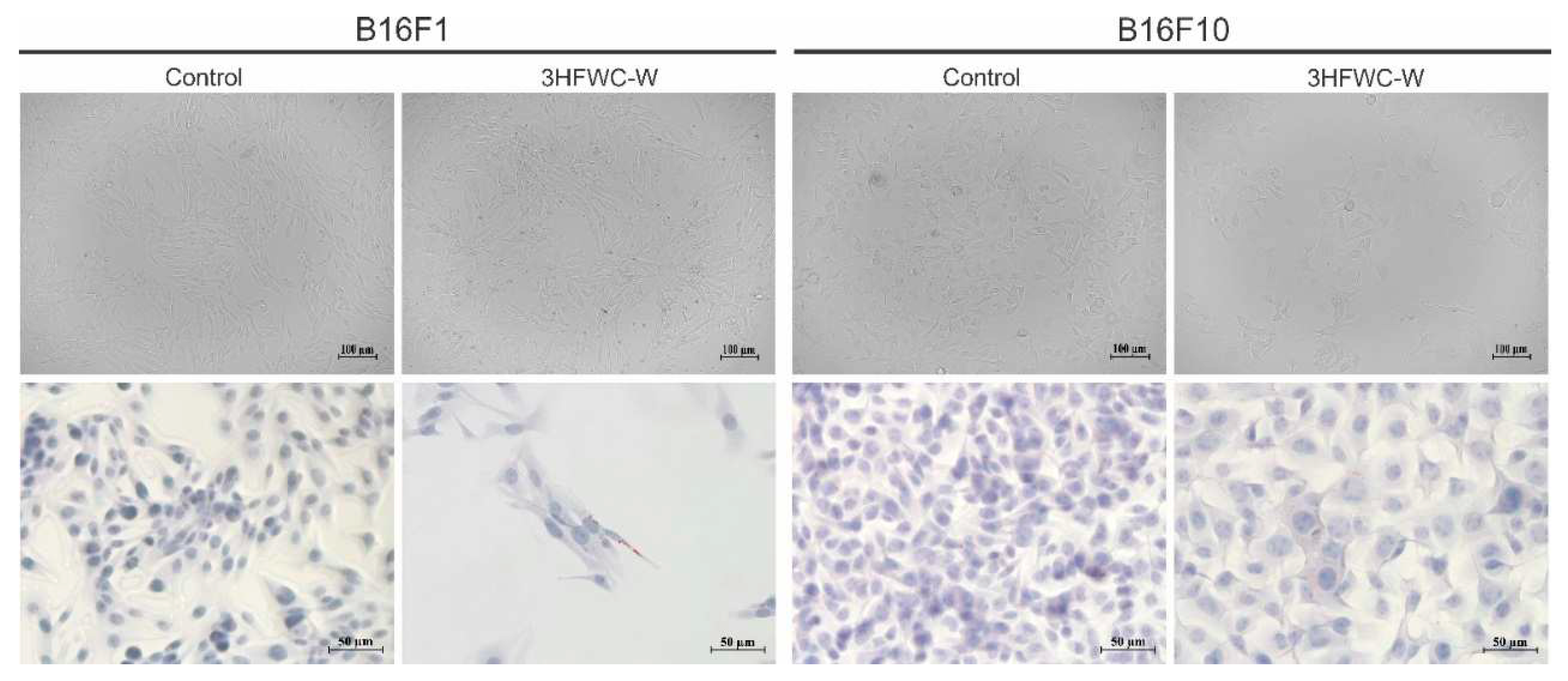 Preprints 89191 g021