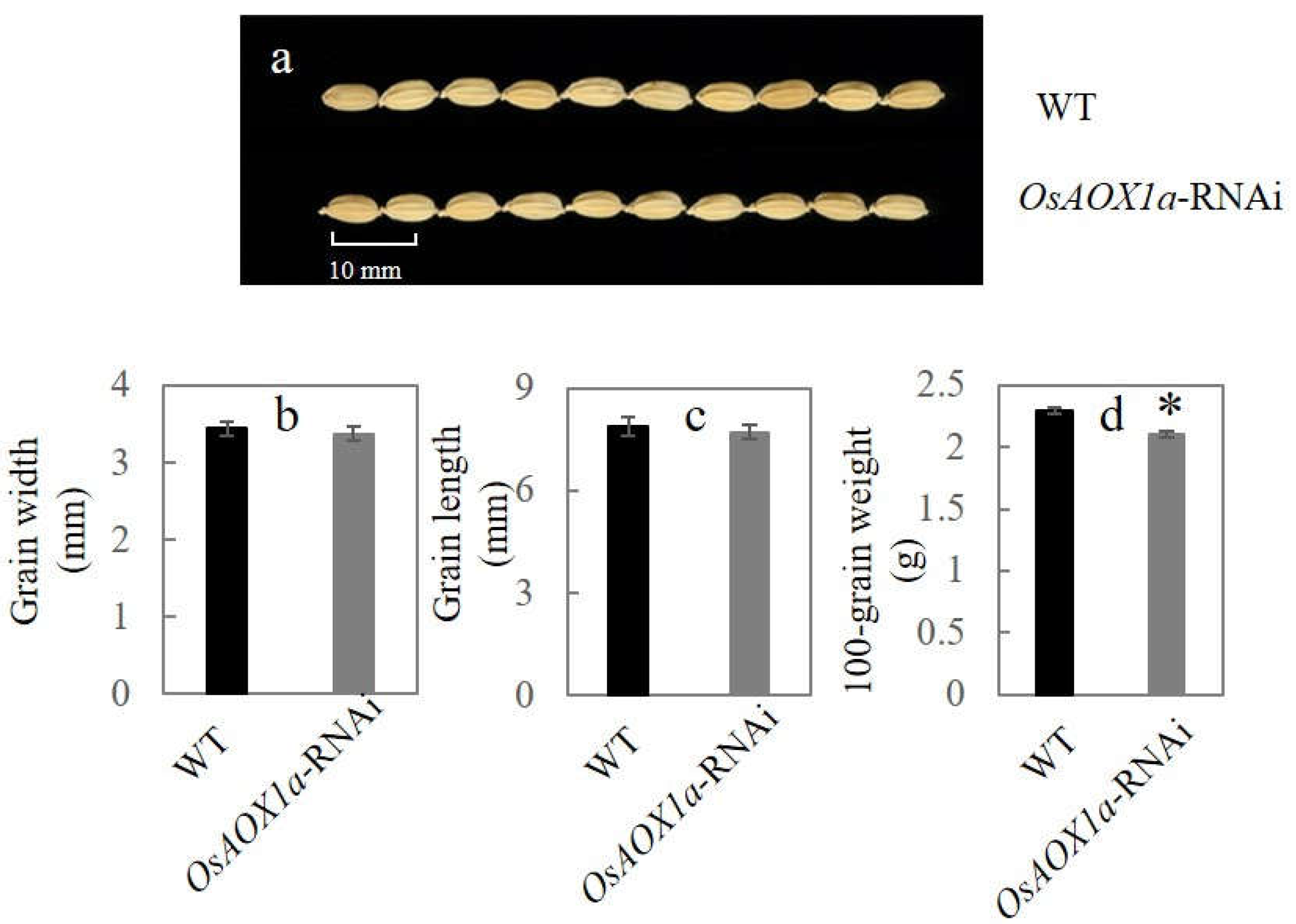 Preprints 71009 g001