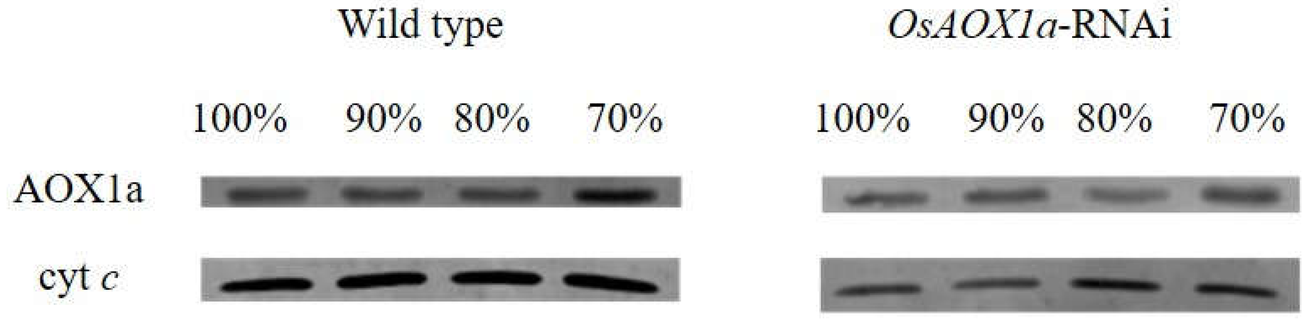 Preprints 71009 g003