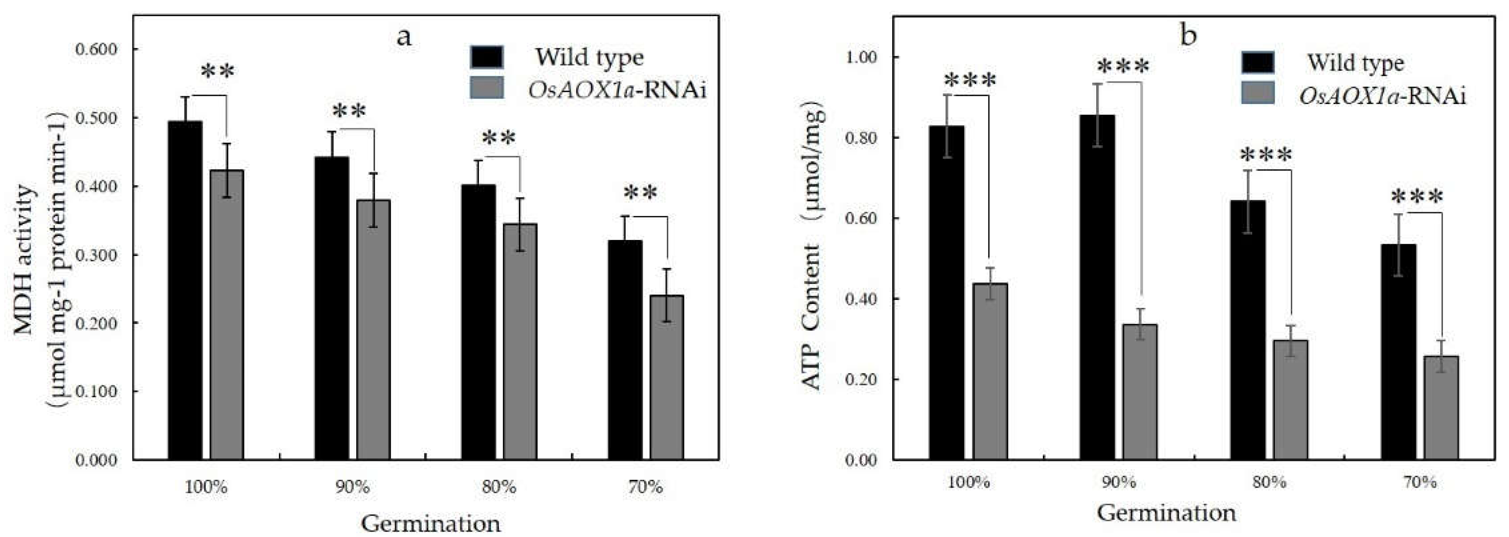 Preprints 71009 g004