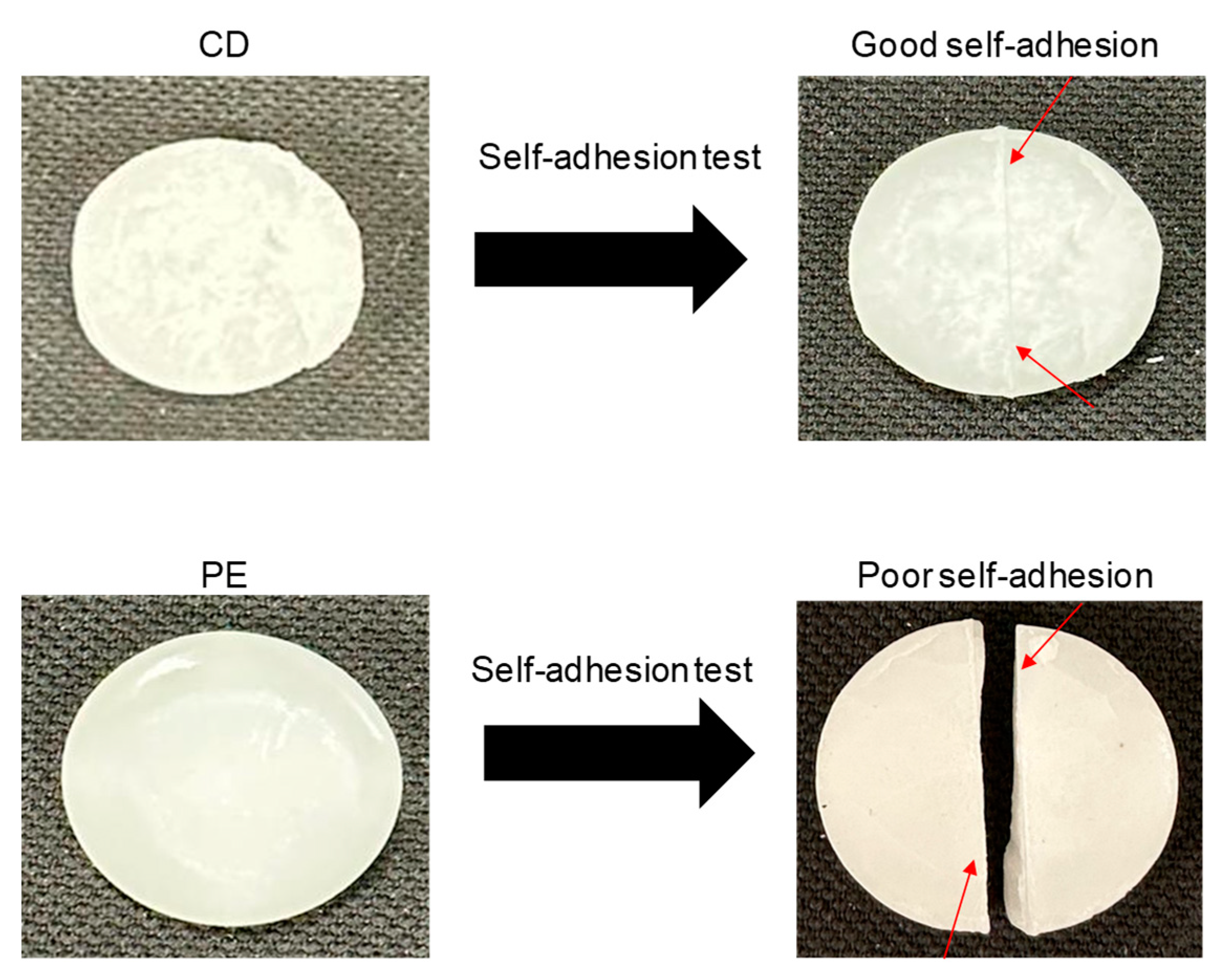 Preprints 88118 g023