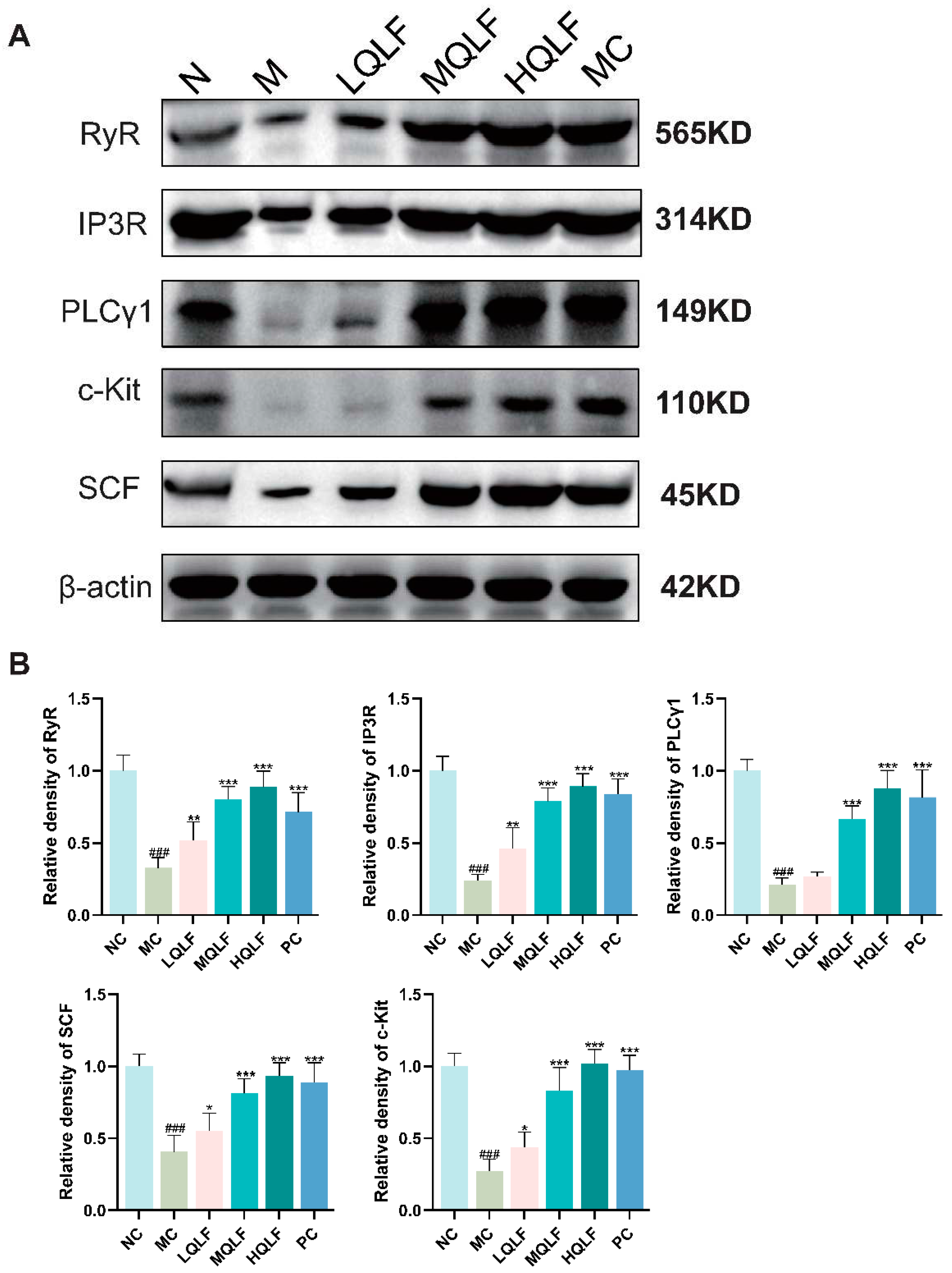 Preprints 94989 g006