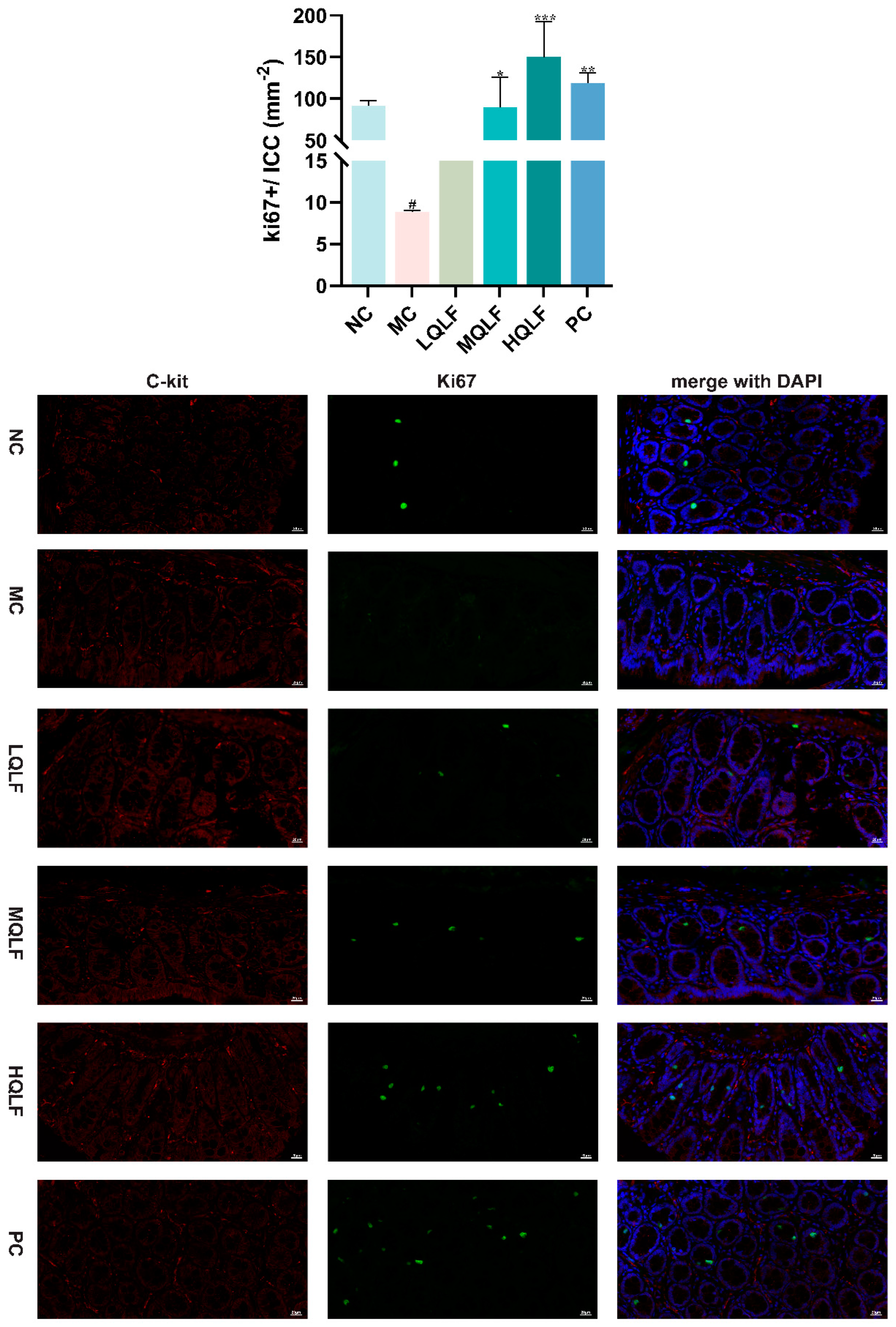 Preprints 94989 g008