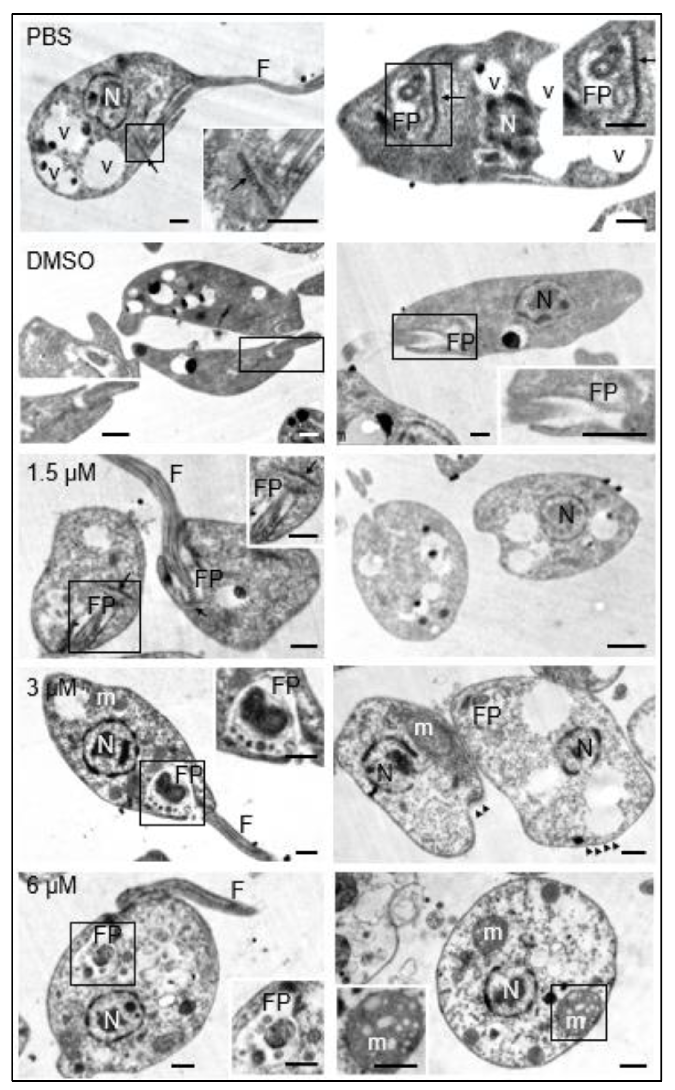 Preprints 114314 g002