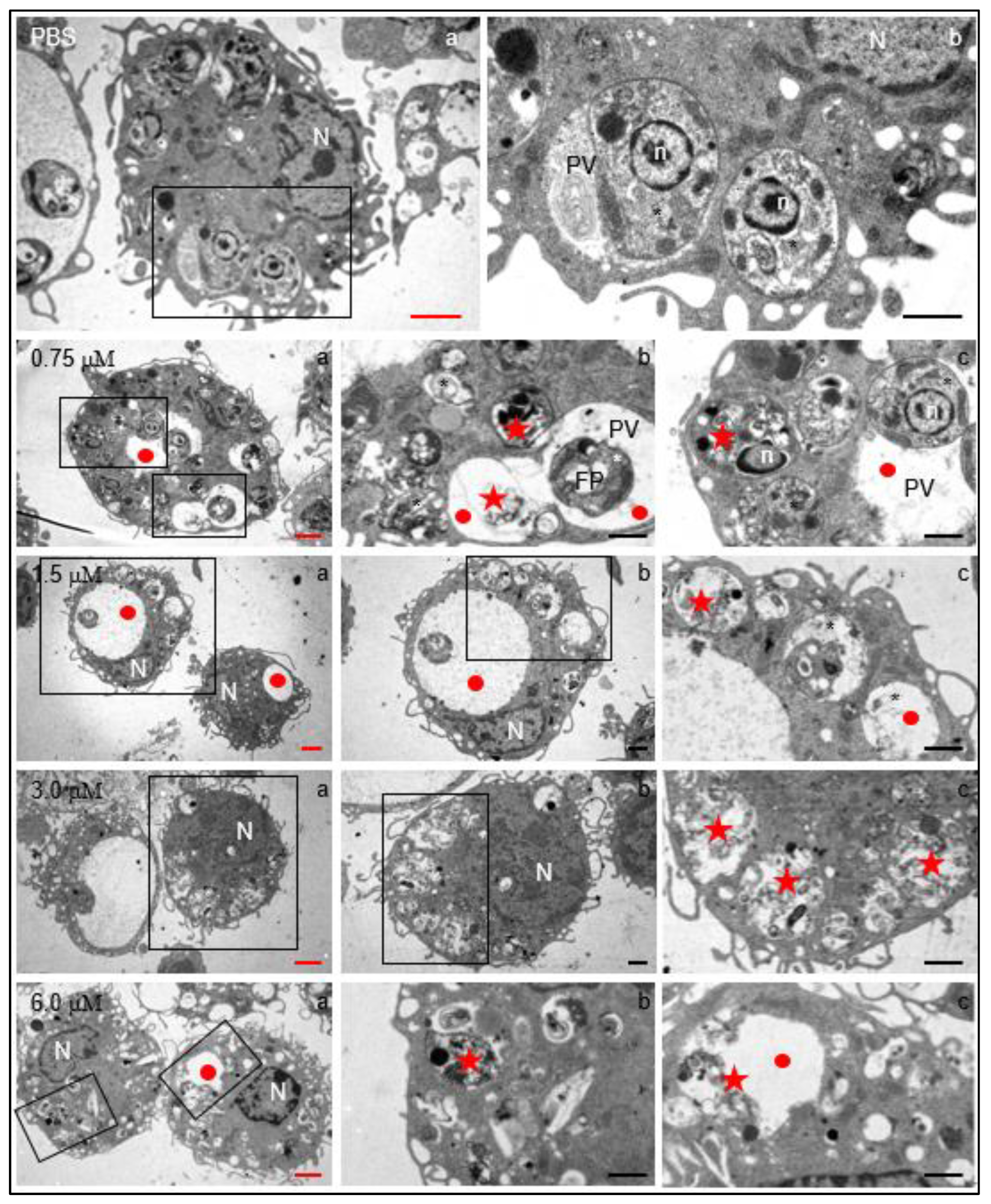 Preprints 114314 g005