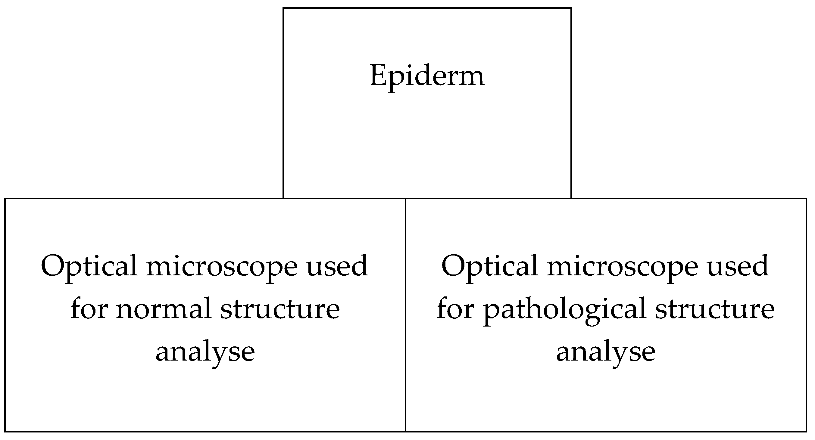 Preprints 98787 g002