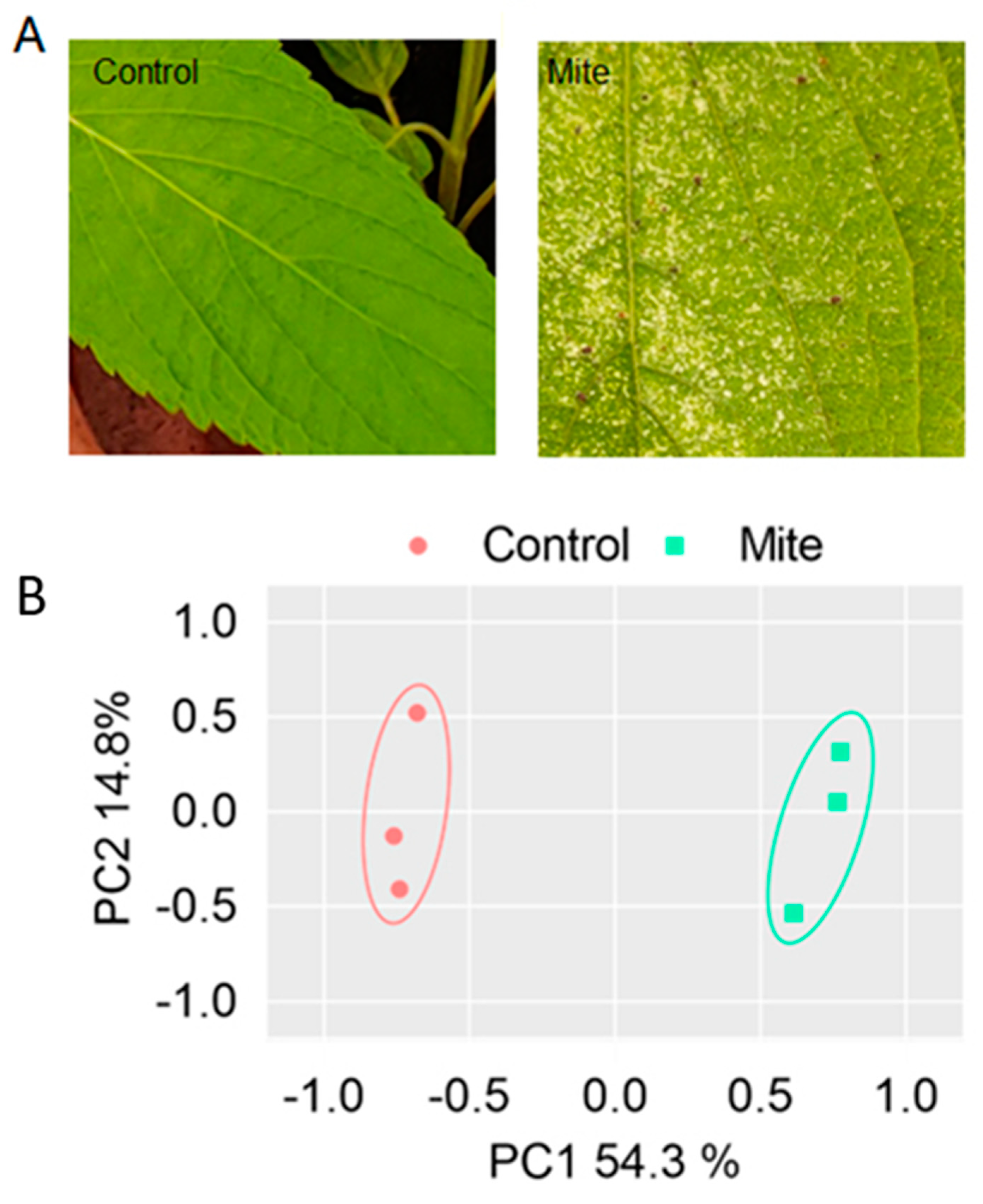 Preprints 78184 g001