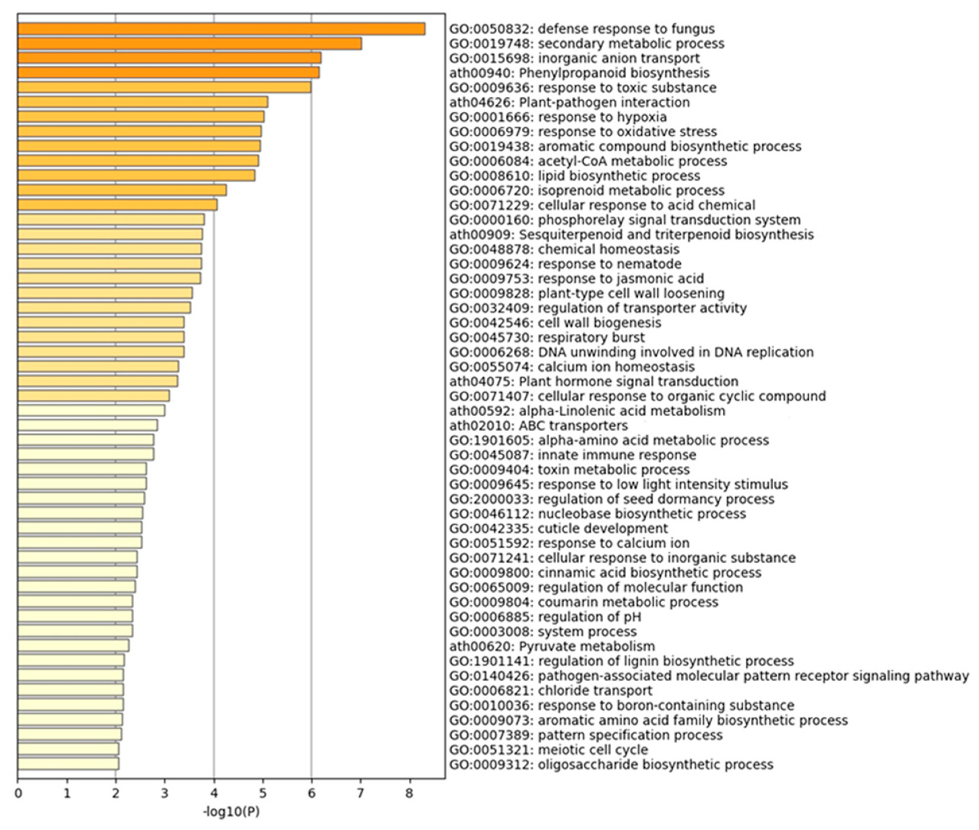 Preprints 78184 g004